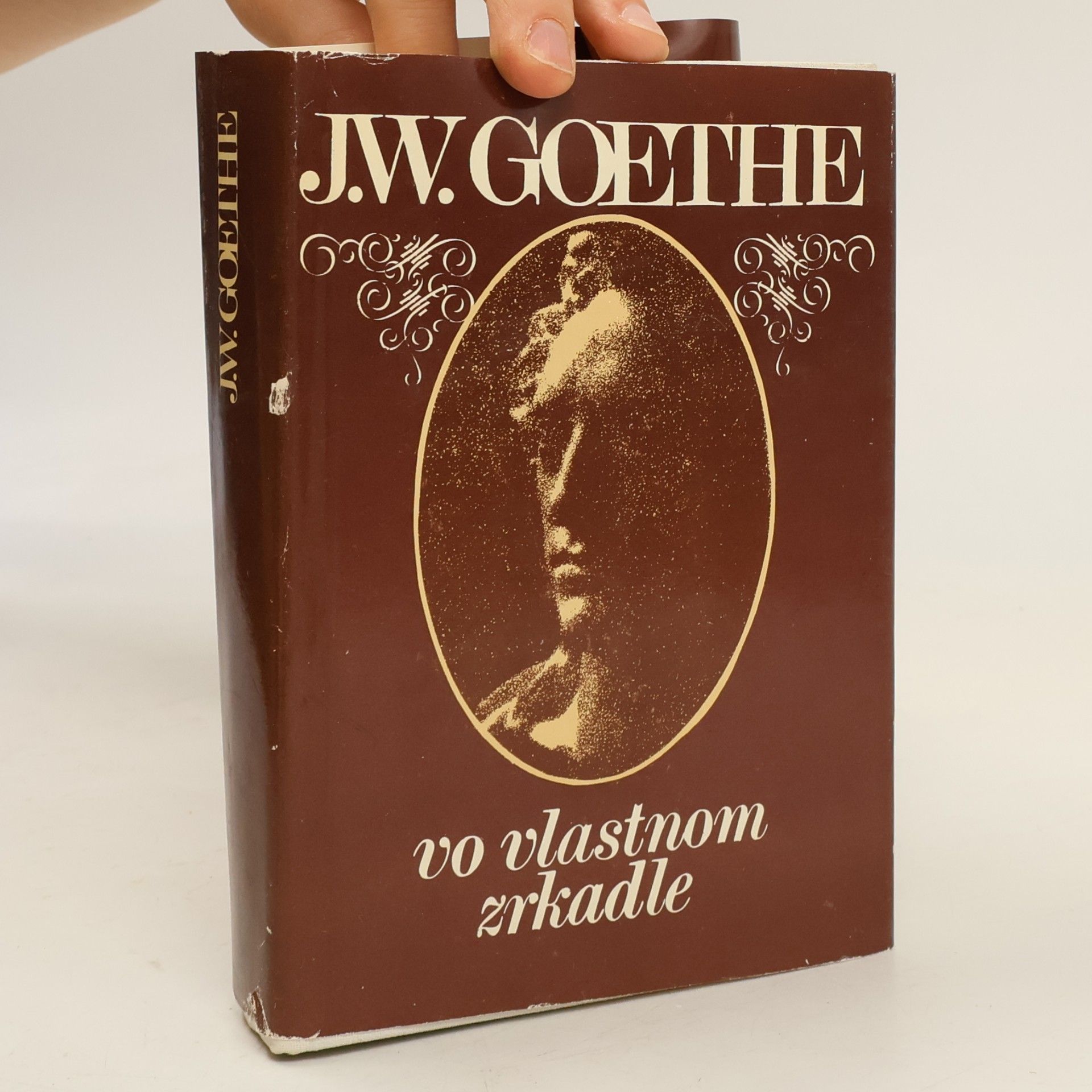Johann Wolfgang von Goethe Vo vlastnom zrkadle