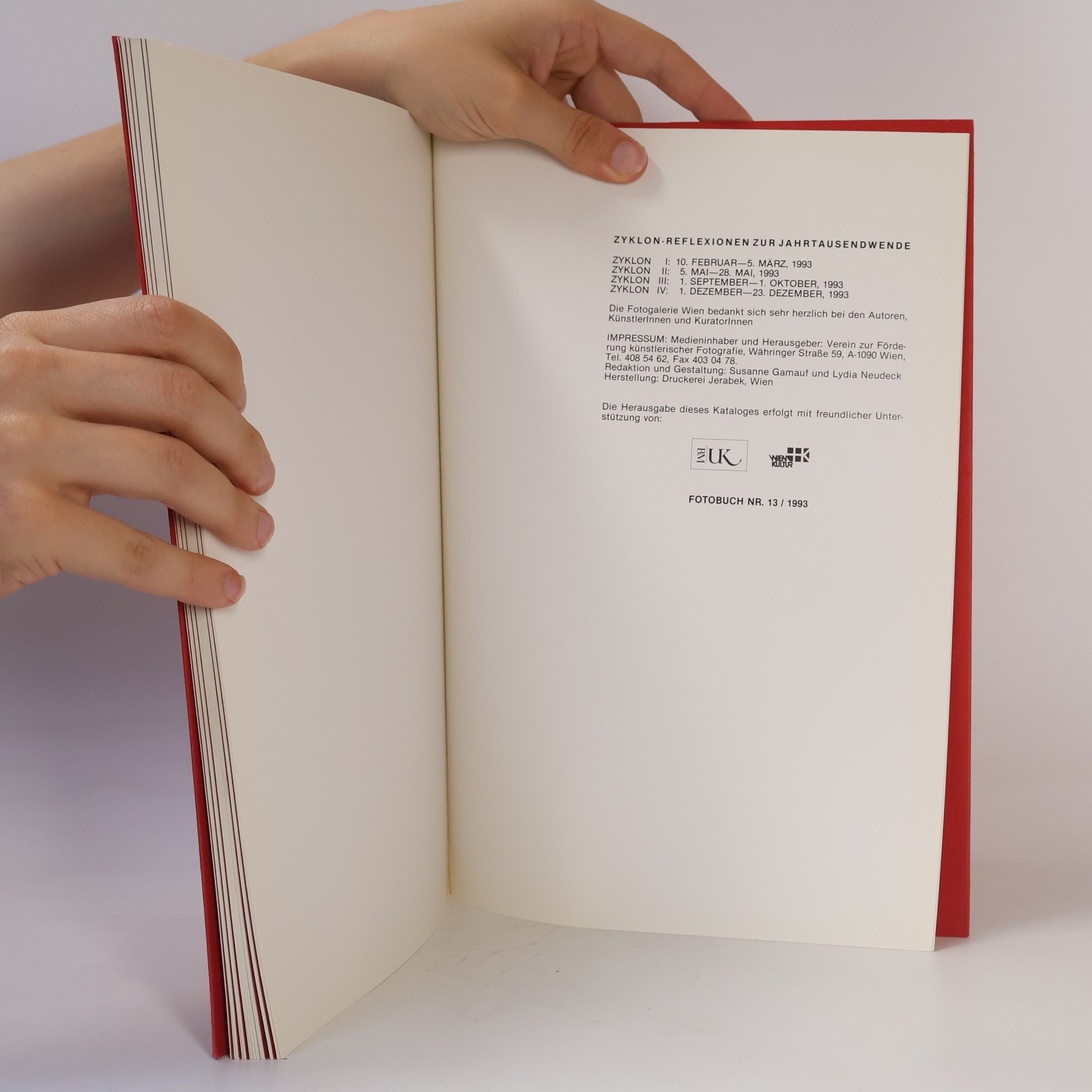 Collectif d'auteurs Zyklon. Reflexionen zur Jahrtausendwende 13/1993