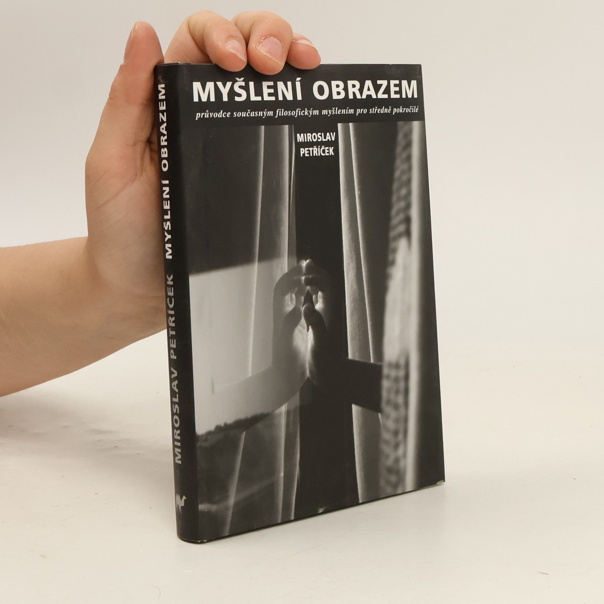Miroslav Petříček Myšlení obrazem: Průvodce současným filosofickým myšlením pro středně nepokročilé