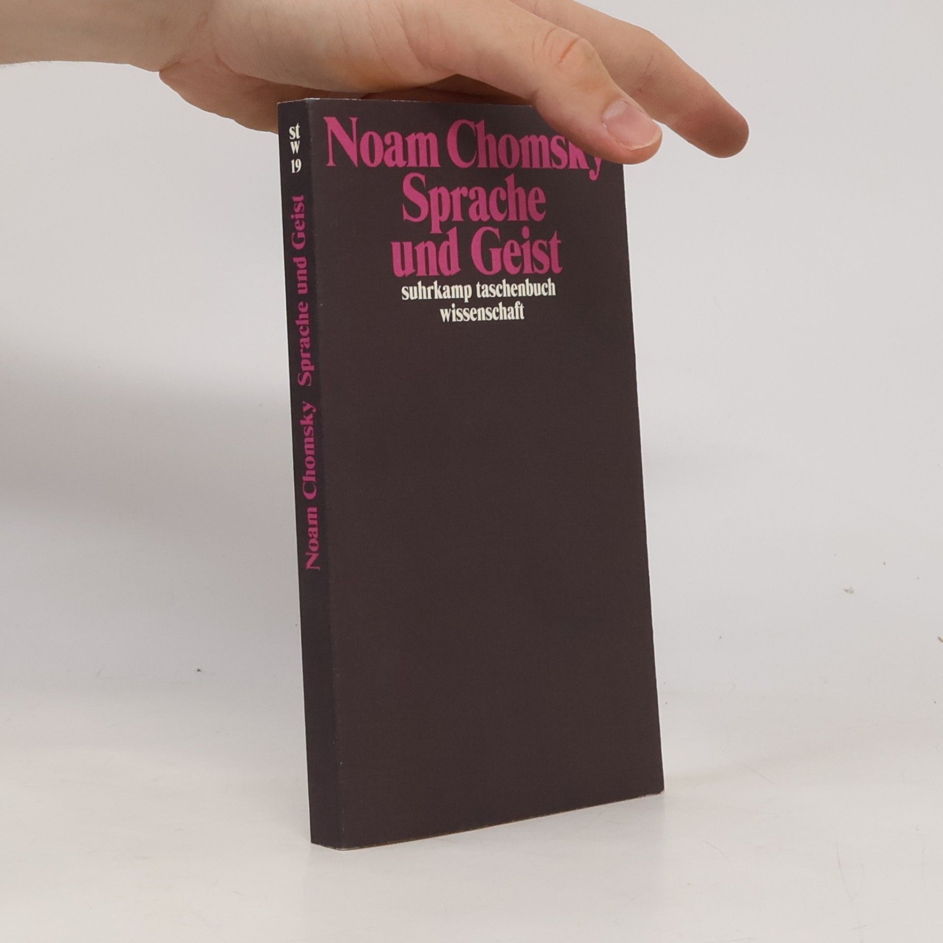 Noam Chomsky Sprache und Geist