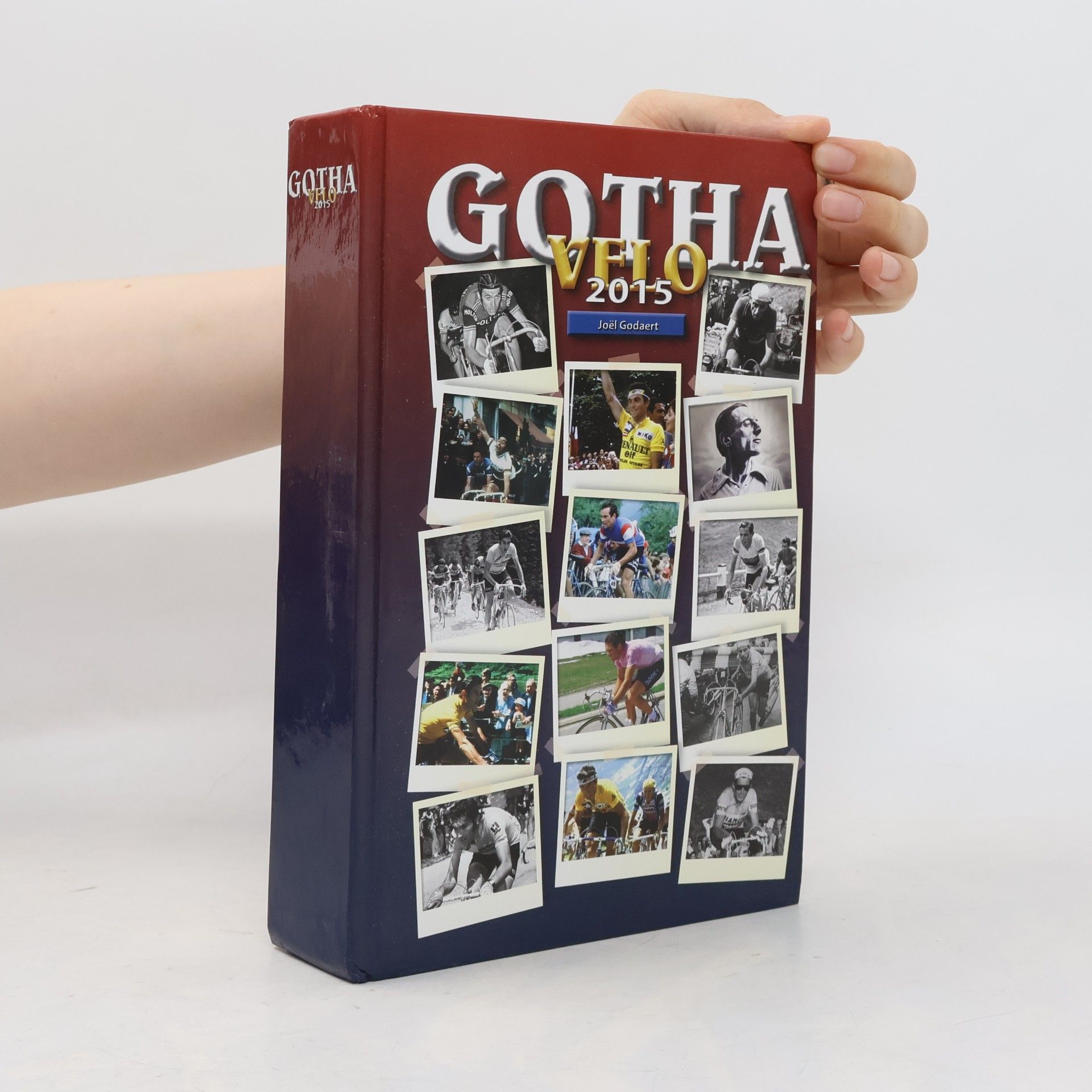Autorenkollektiv Gotha VFLO 2015