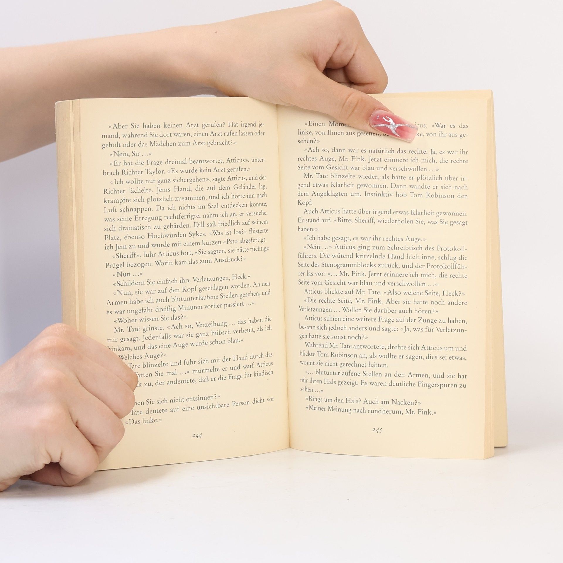 Harper Lee Wer die Nachtigall stört...