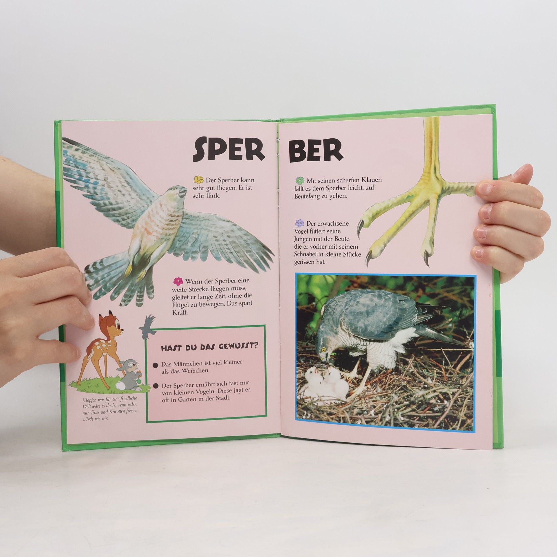 Autores varios Meine bunte welt. Im Wald