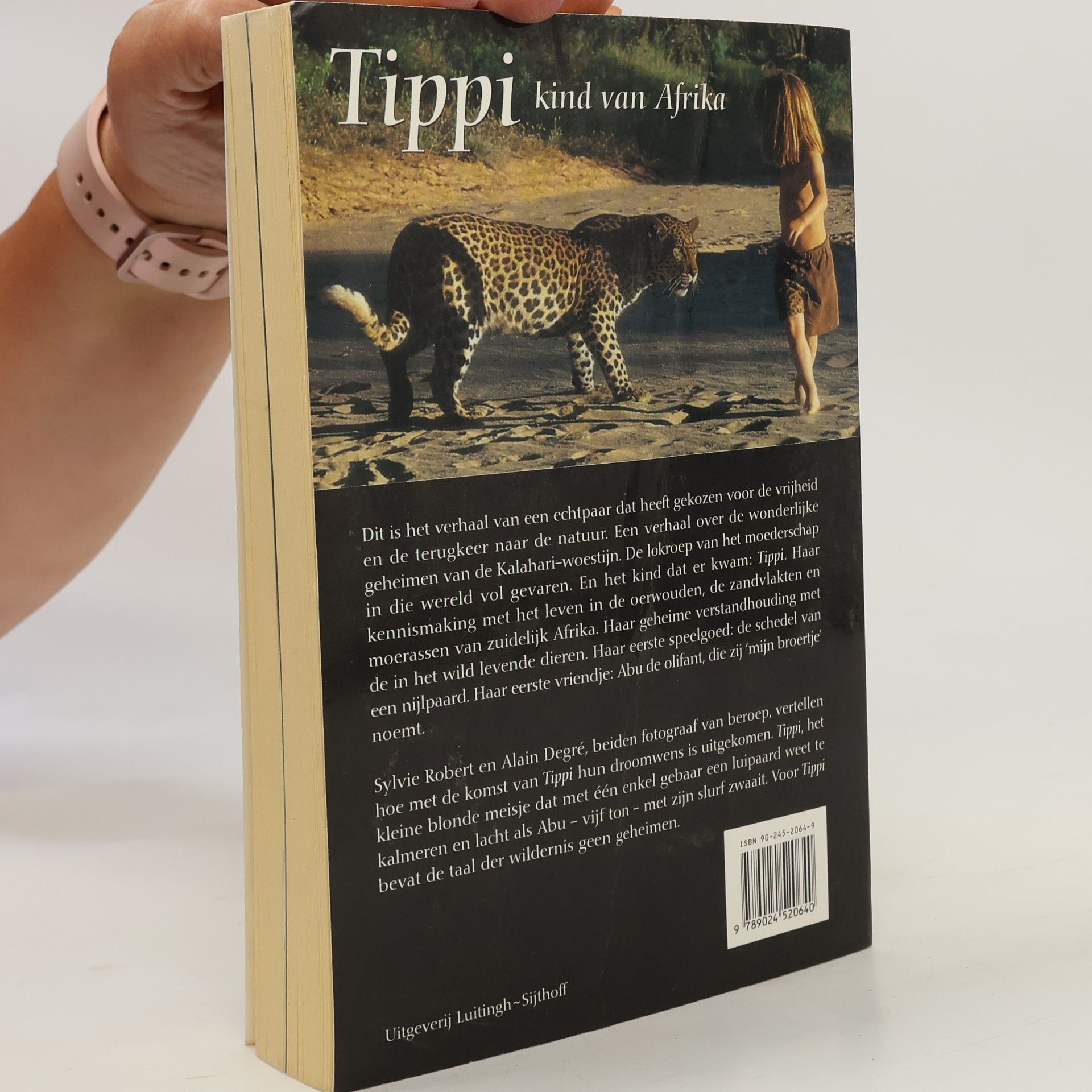 Sylvie Robert Tippi