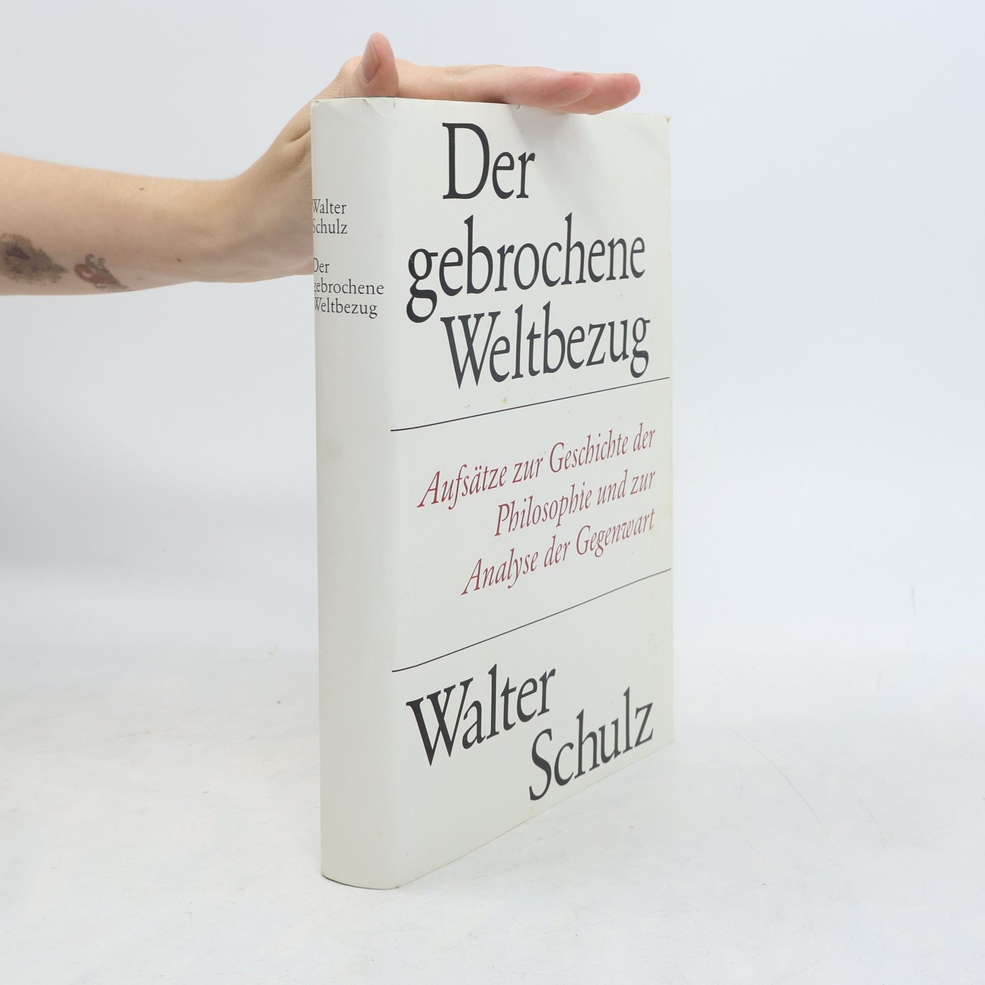 Der gebrochene Weltbezug