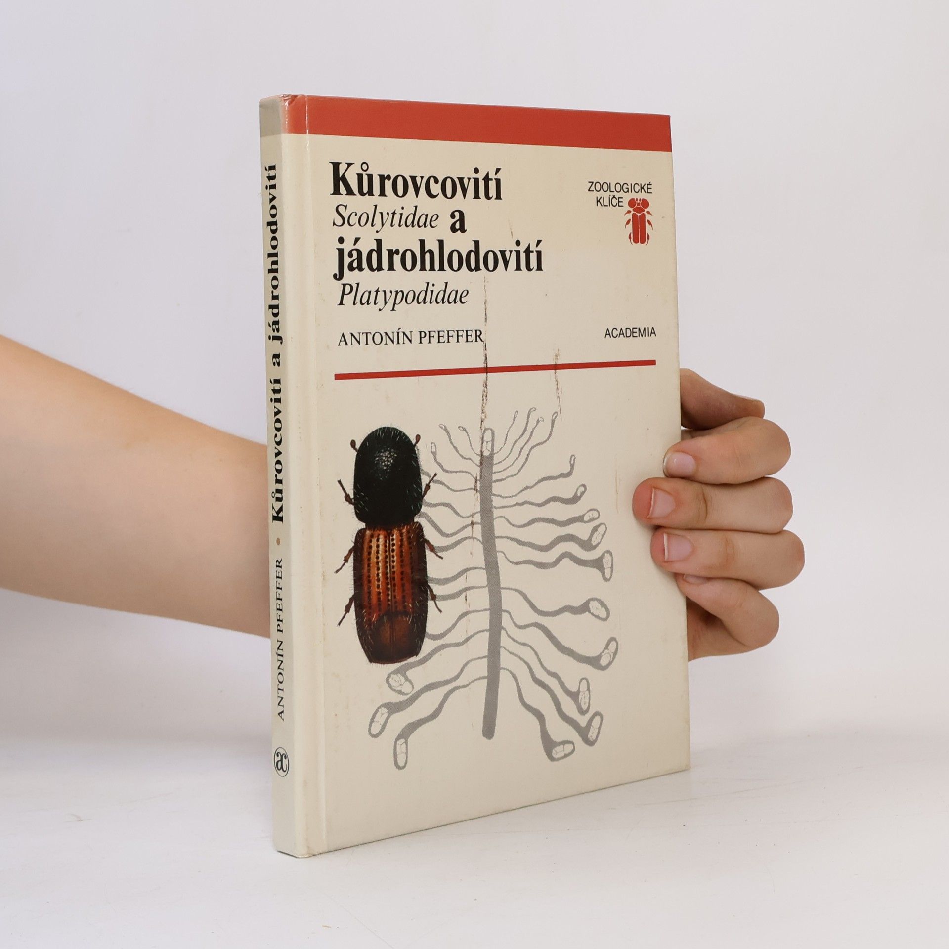 Antonín Pfeffer Kůrovcovití a jádrohlodovití