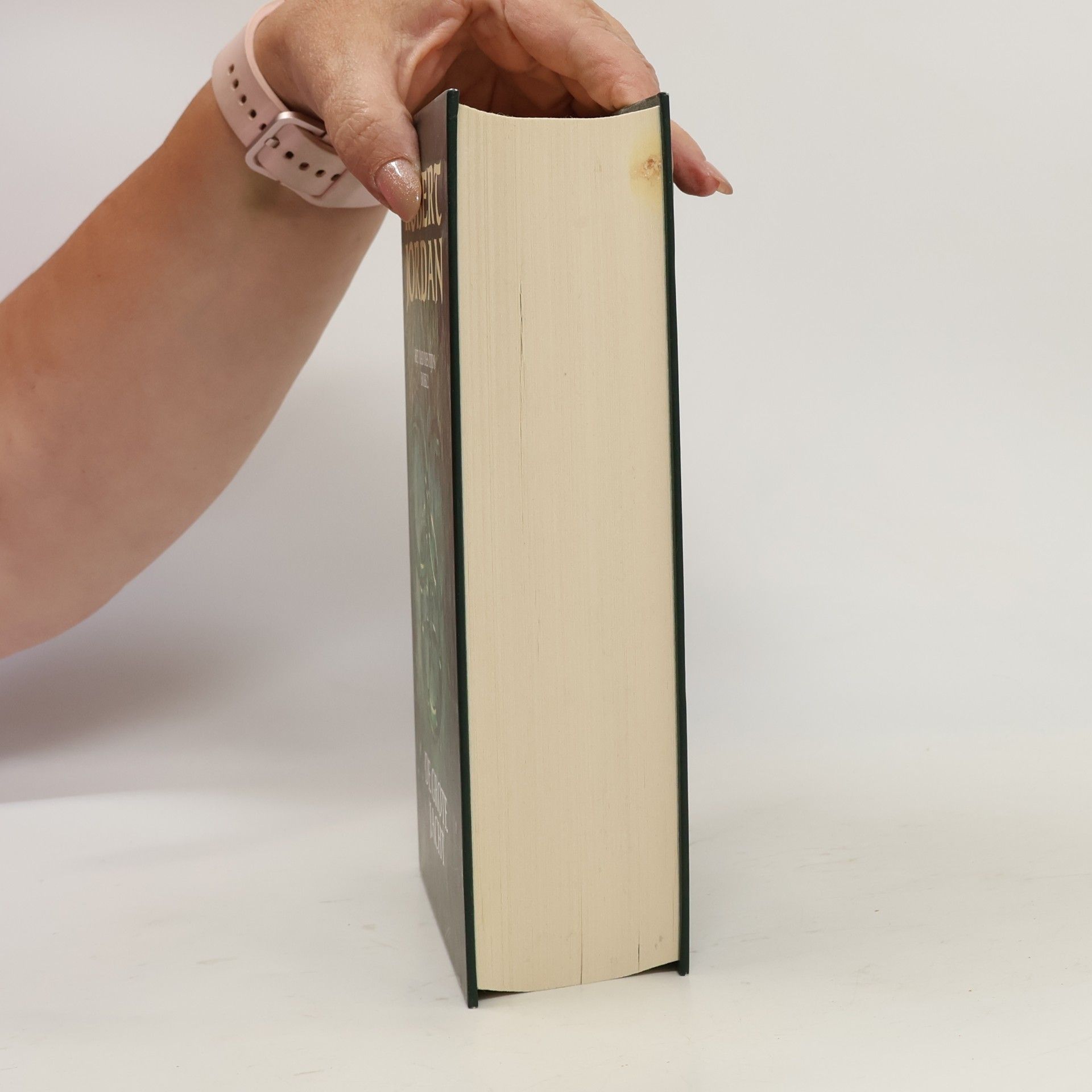 Robert Jordan Het Rad des Tijds - 2: De Grote Jacht
