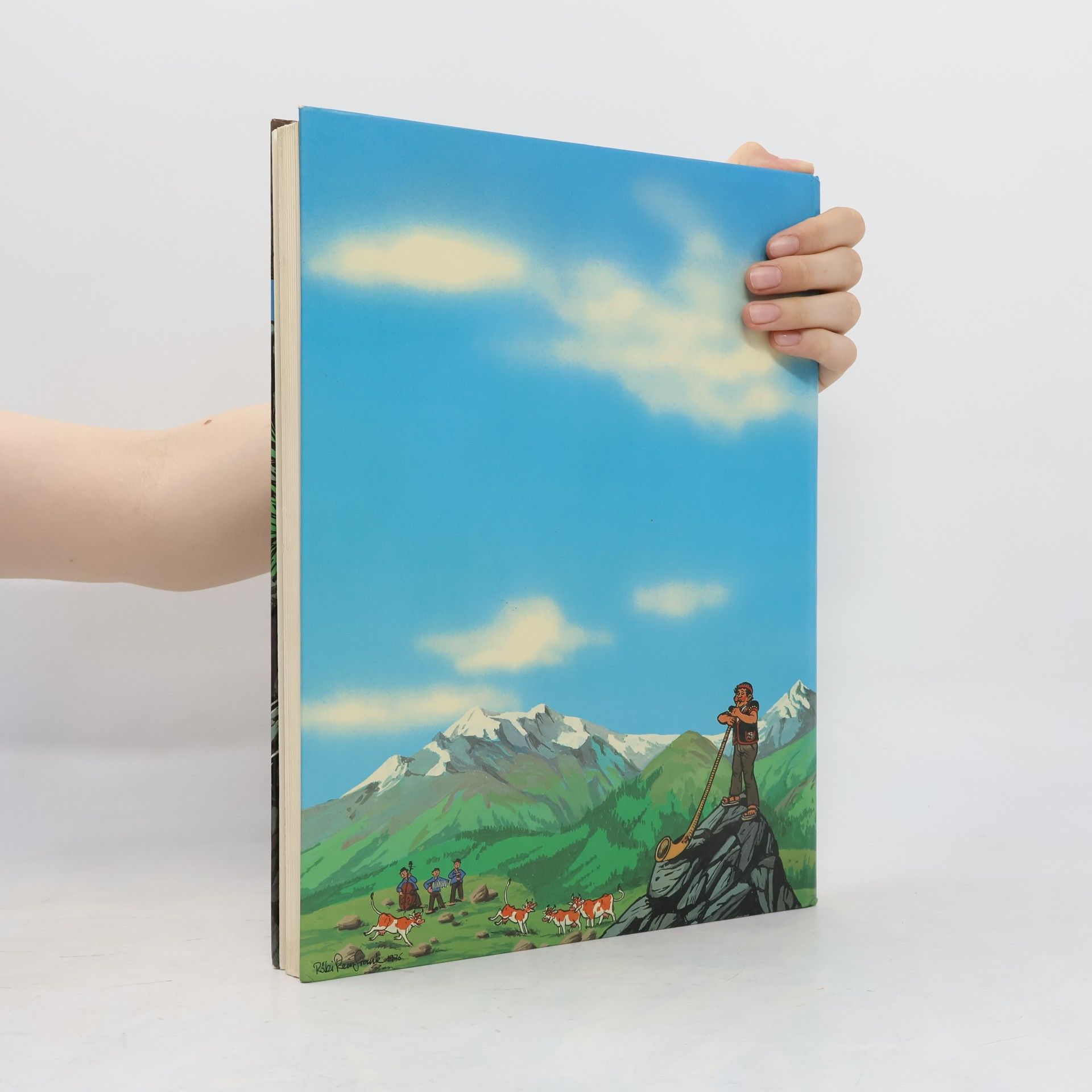 Various authors Ringgi + Zofi. Abenteuer in der Schweiz