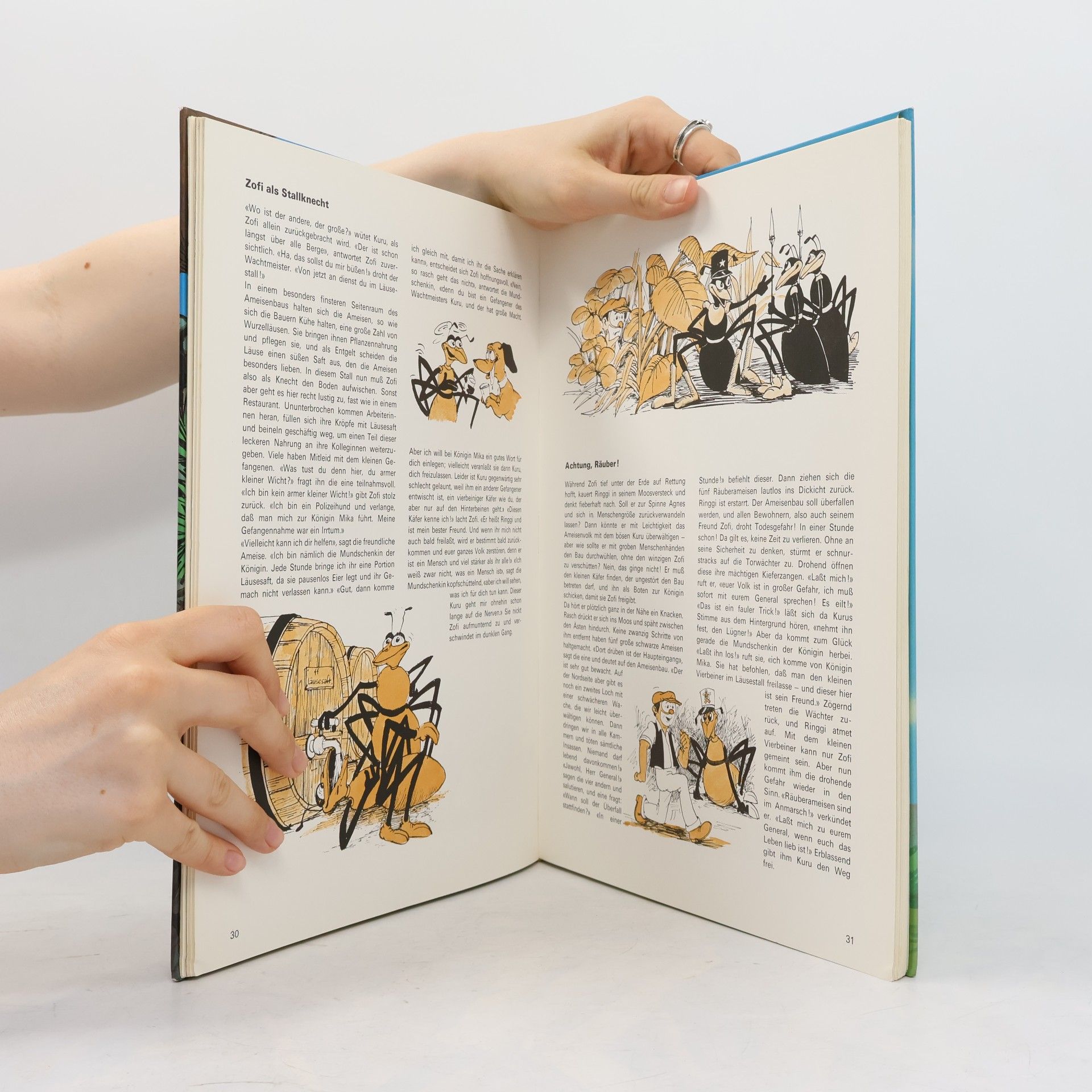 Various authors Ringgi + Zofi. Abenteuer in der Schweiz