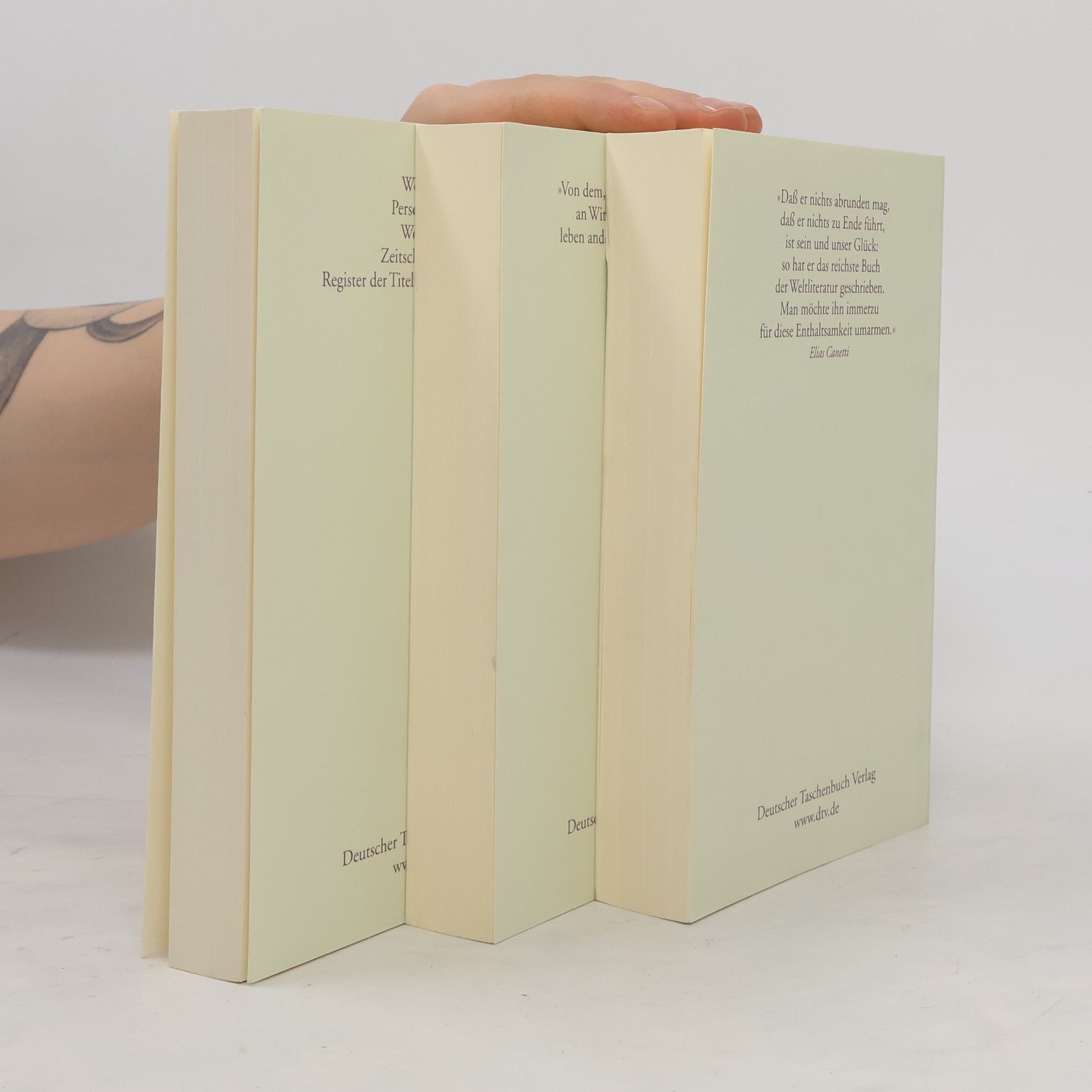Georg Christoph Lichtenberg Sudelbücher, 3 Bände