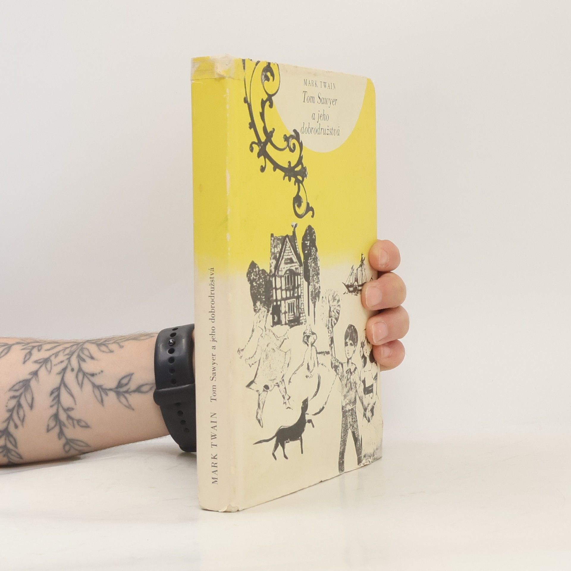 Mark Twain Tom Sawyer a jeho dobrodružstvá