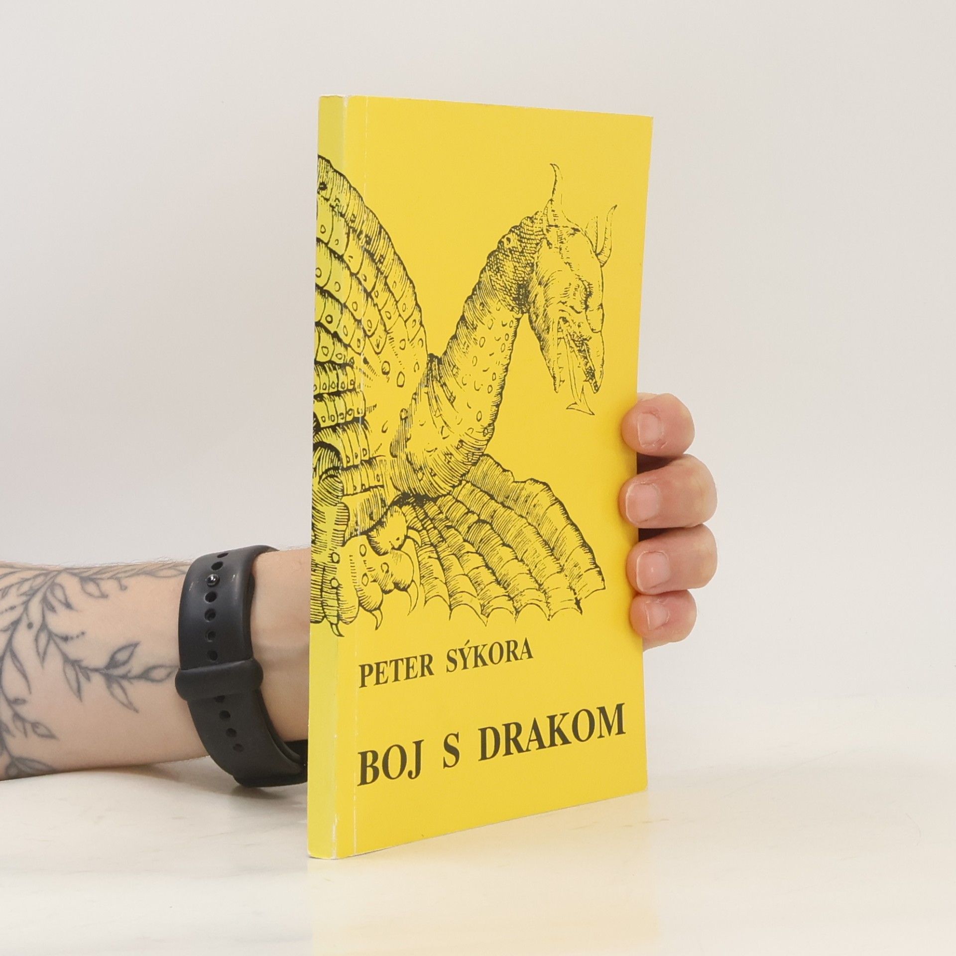 Peter Sýkora Boj s drakom