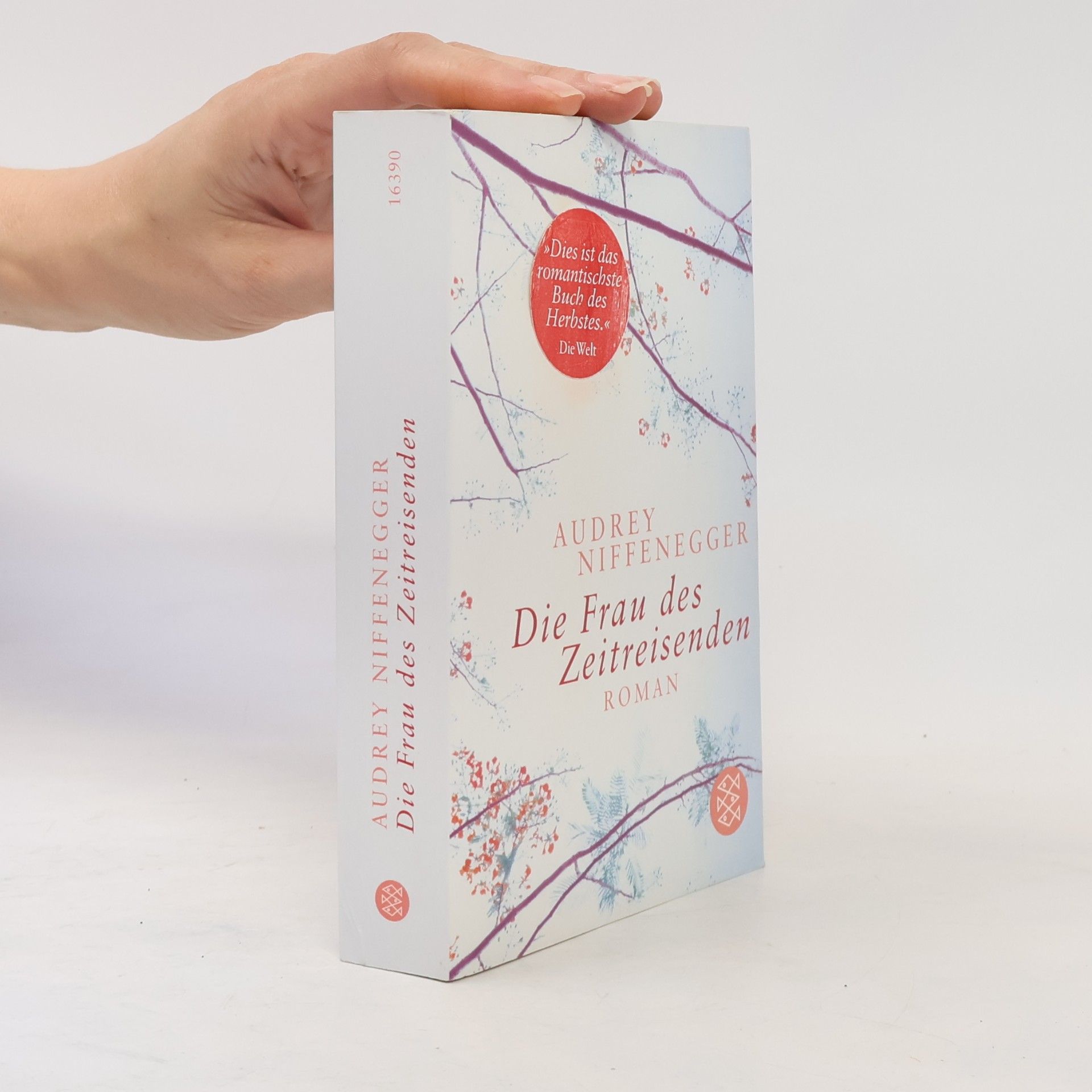 Audrey Niffenegger Die Frau des Zeitreisenden
