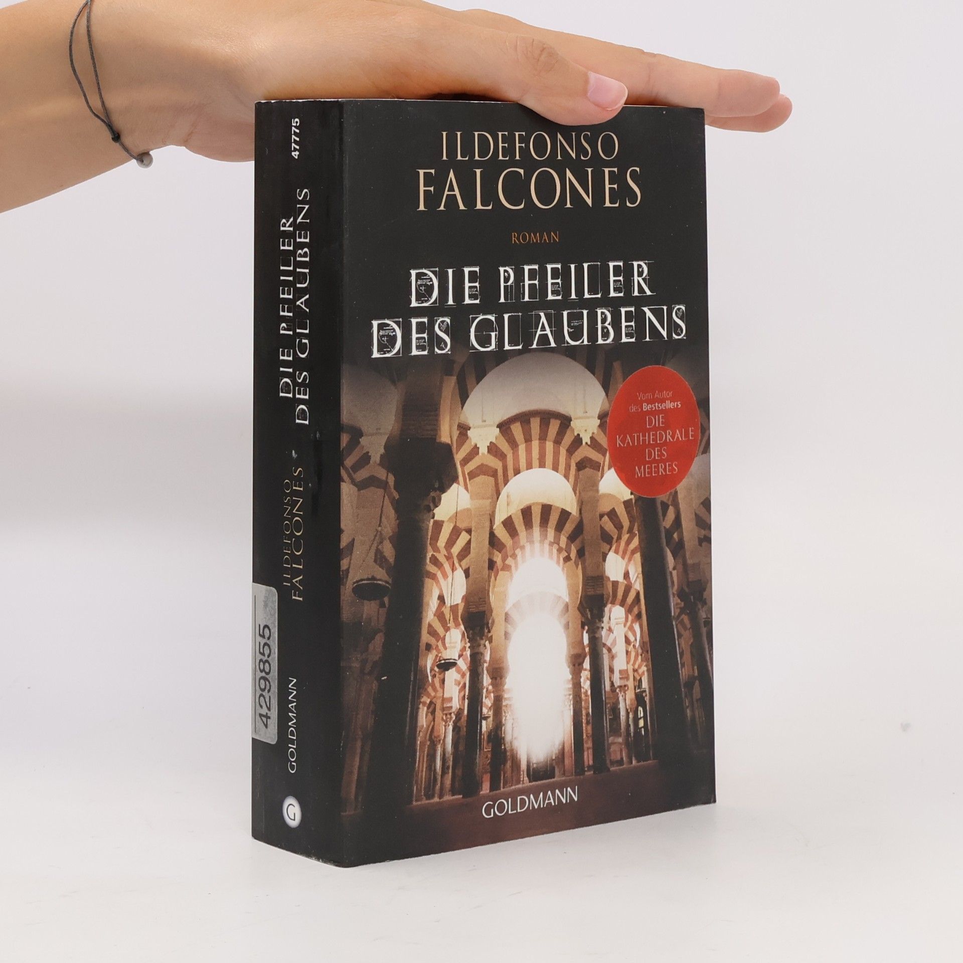 Ildefonso Falcones Die Pfeiler des Glaubens