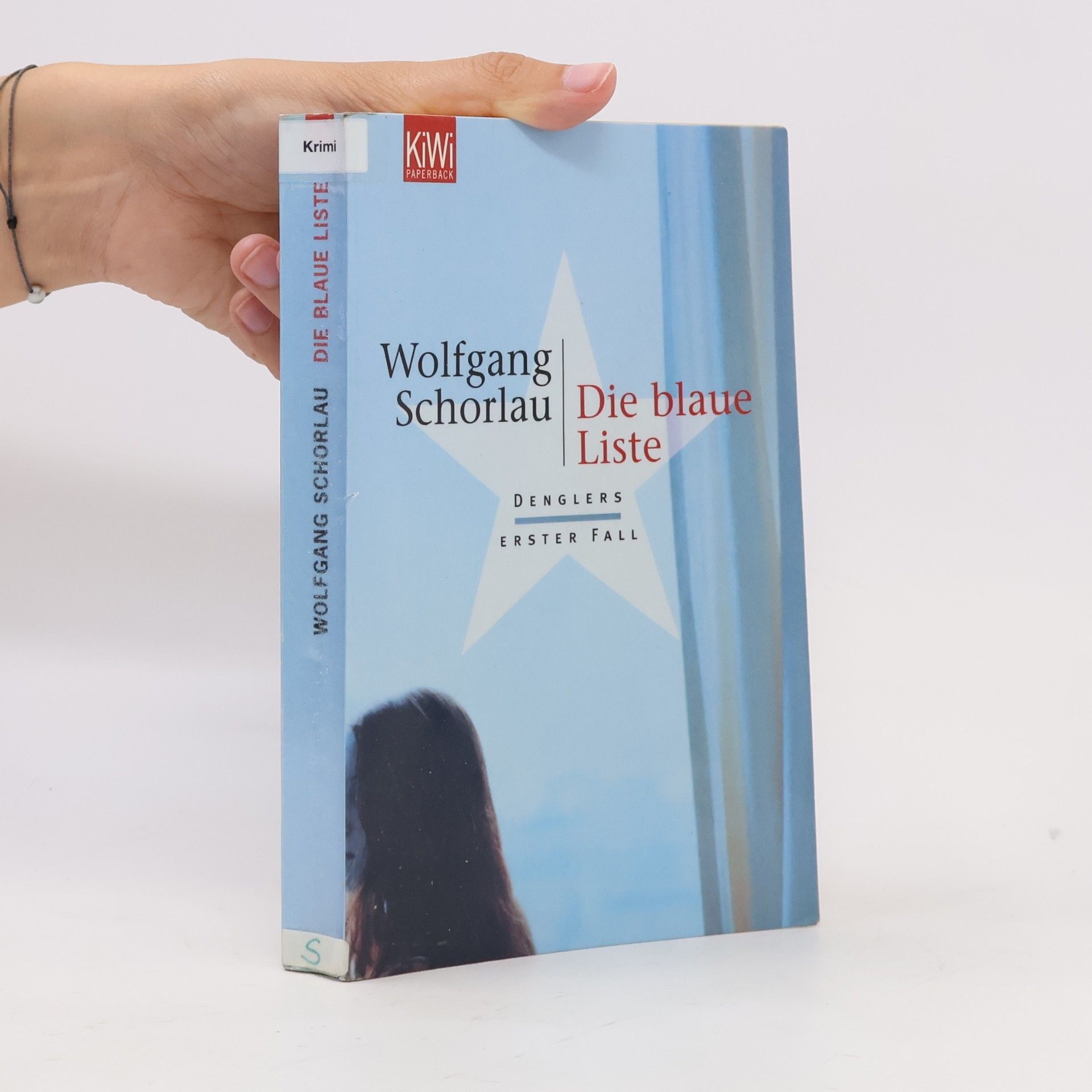 Wolfgang Schorlau Die blaue Liste