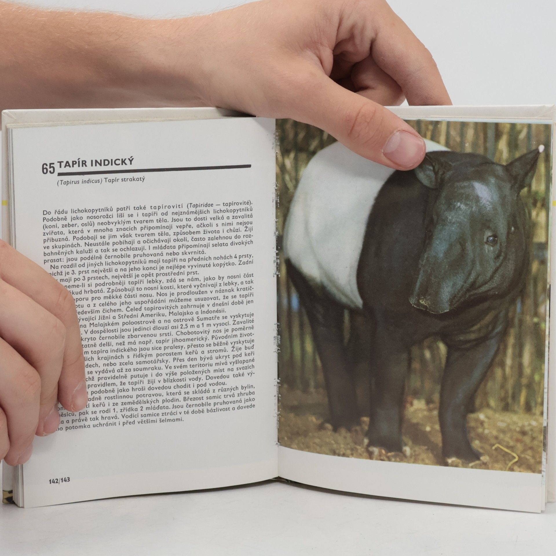 Miroslav Bouchner Kapesní atlas savců