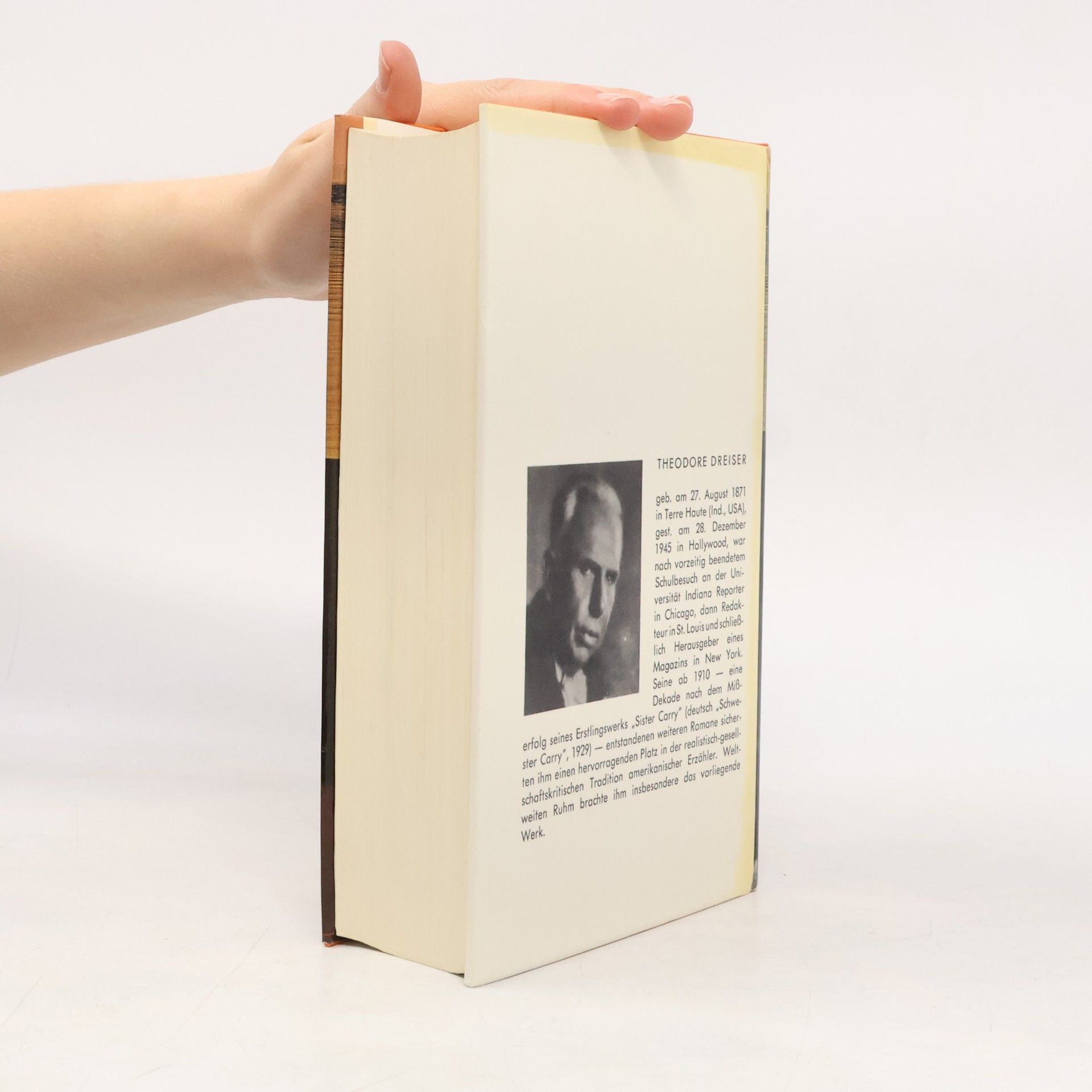 Theodore Dreiser Eine amerikanische Tragödie