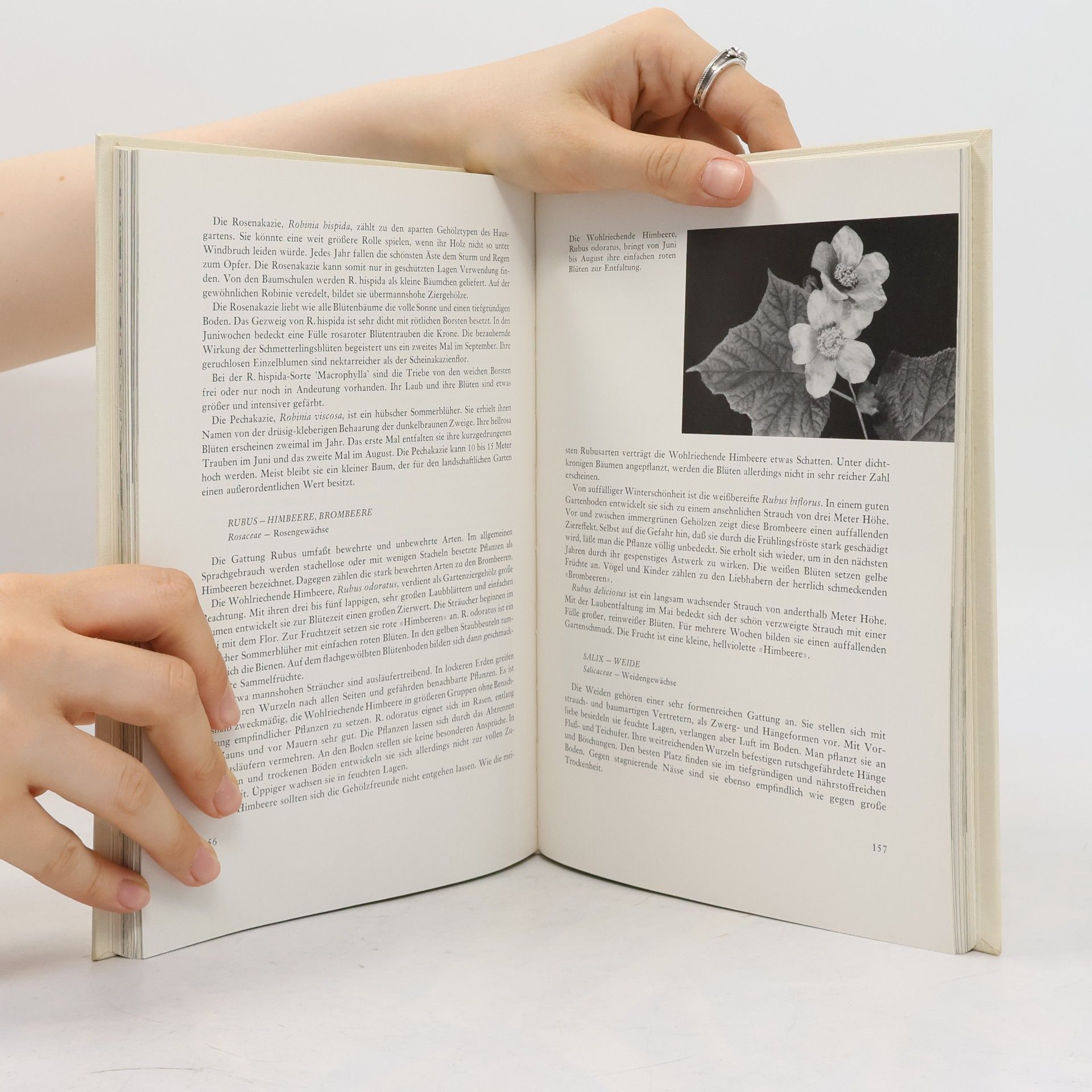 Alfred Feßler Das buch der blutengeholze