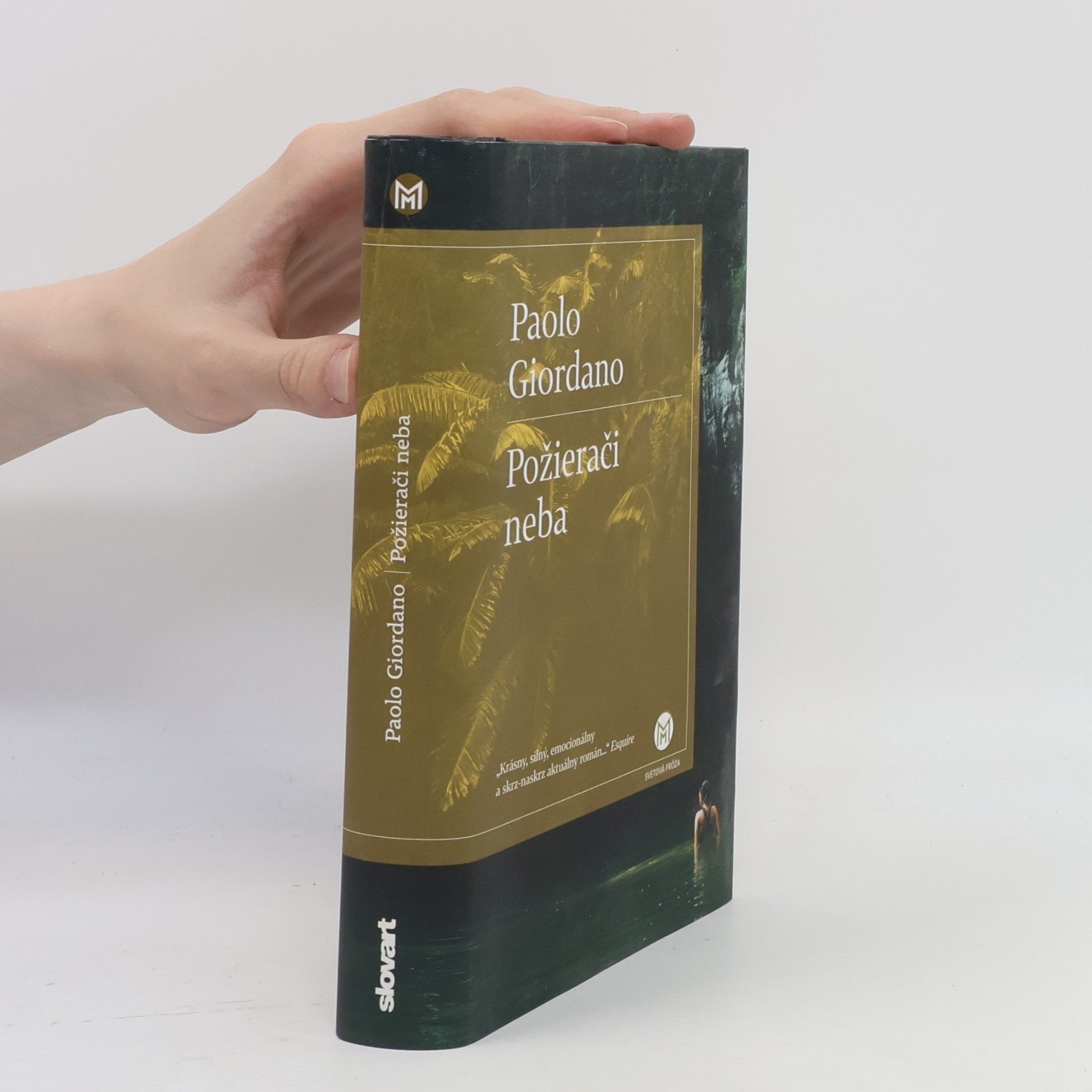 Paolo Giordano Požierači neba