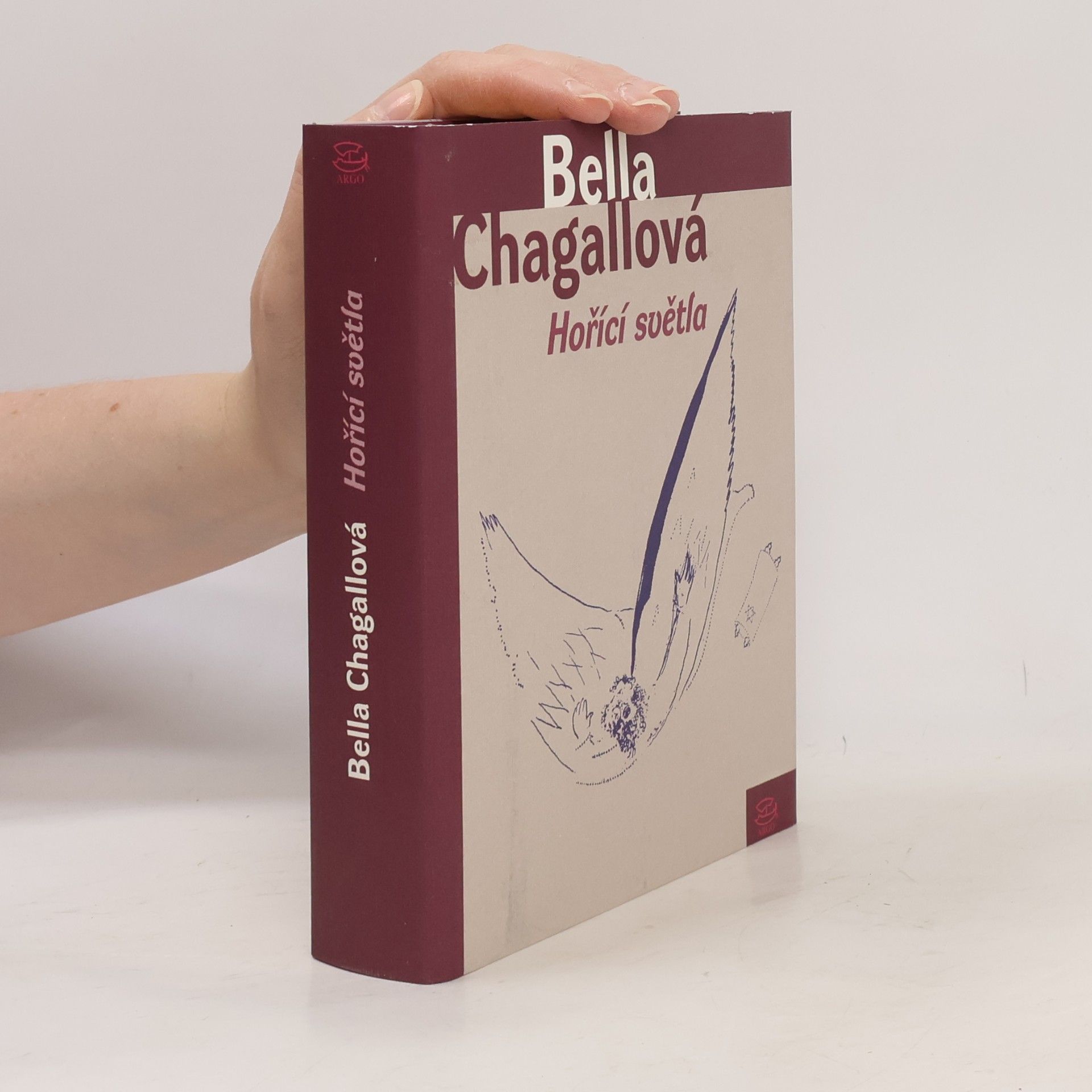 Vladimíra Daňková Hořící světla