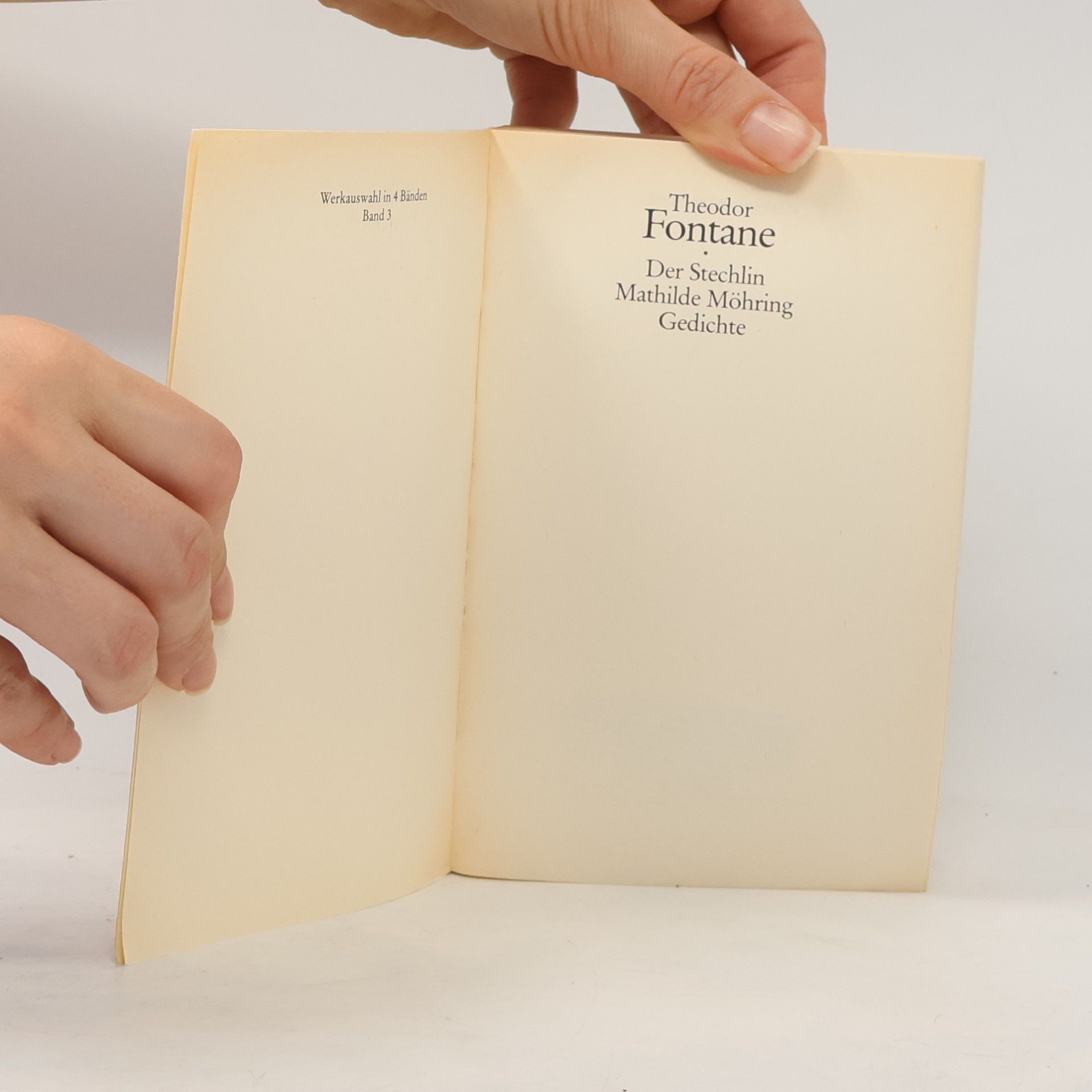 Theodor Fontane Theodor Fontane. Werkauswahl in vier Bänden 1-4