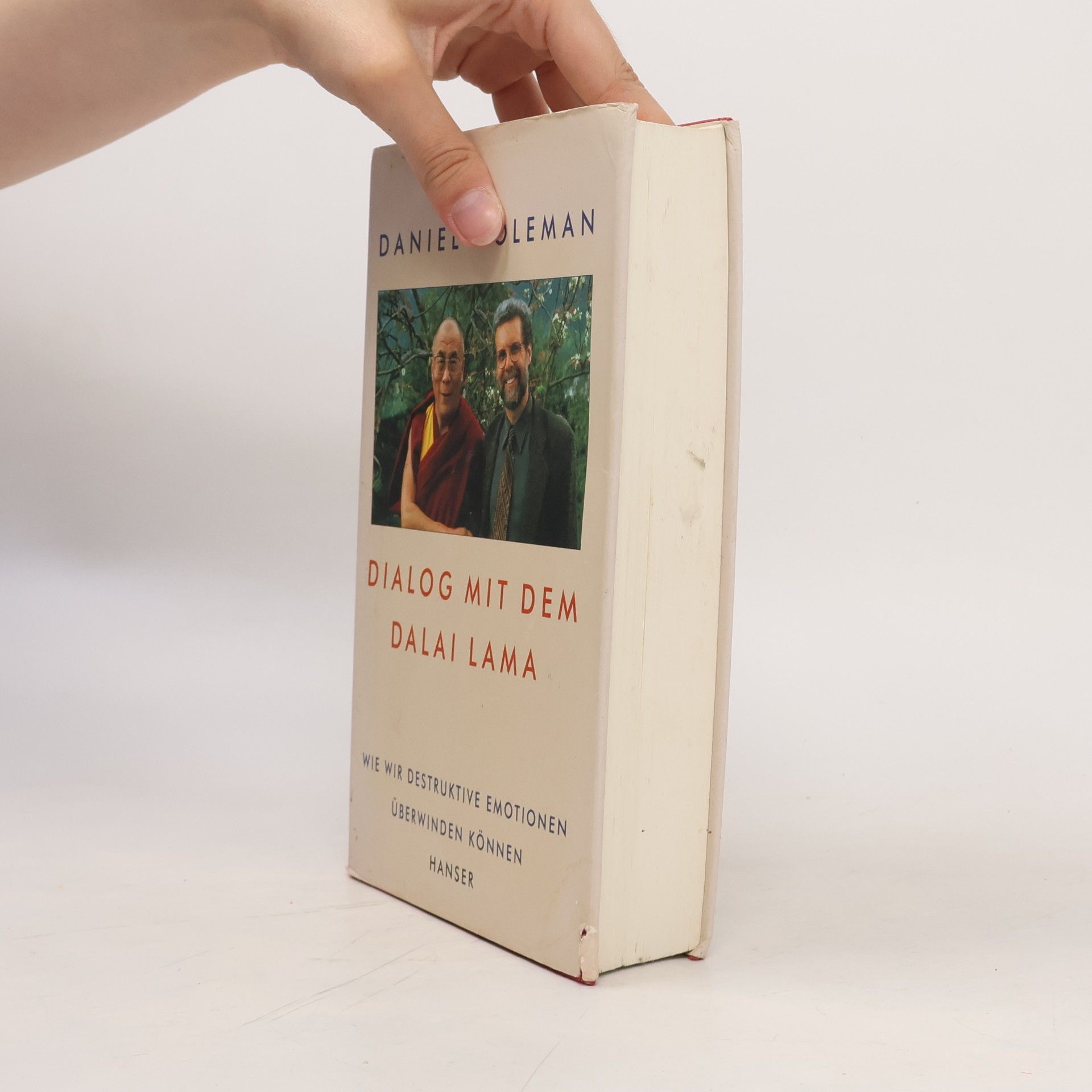 Daniel Goleman Dialog mit dem Dalai Lama