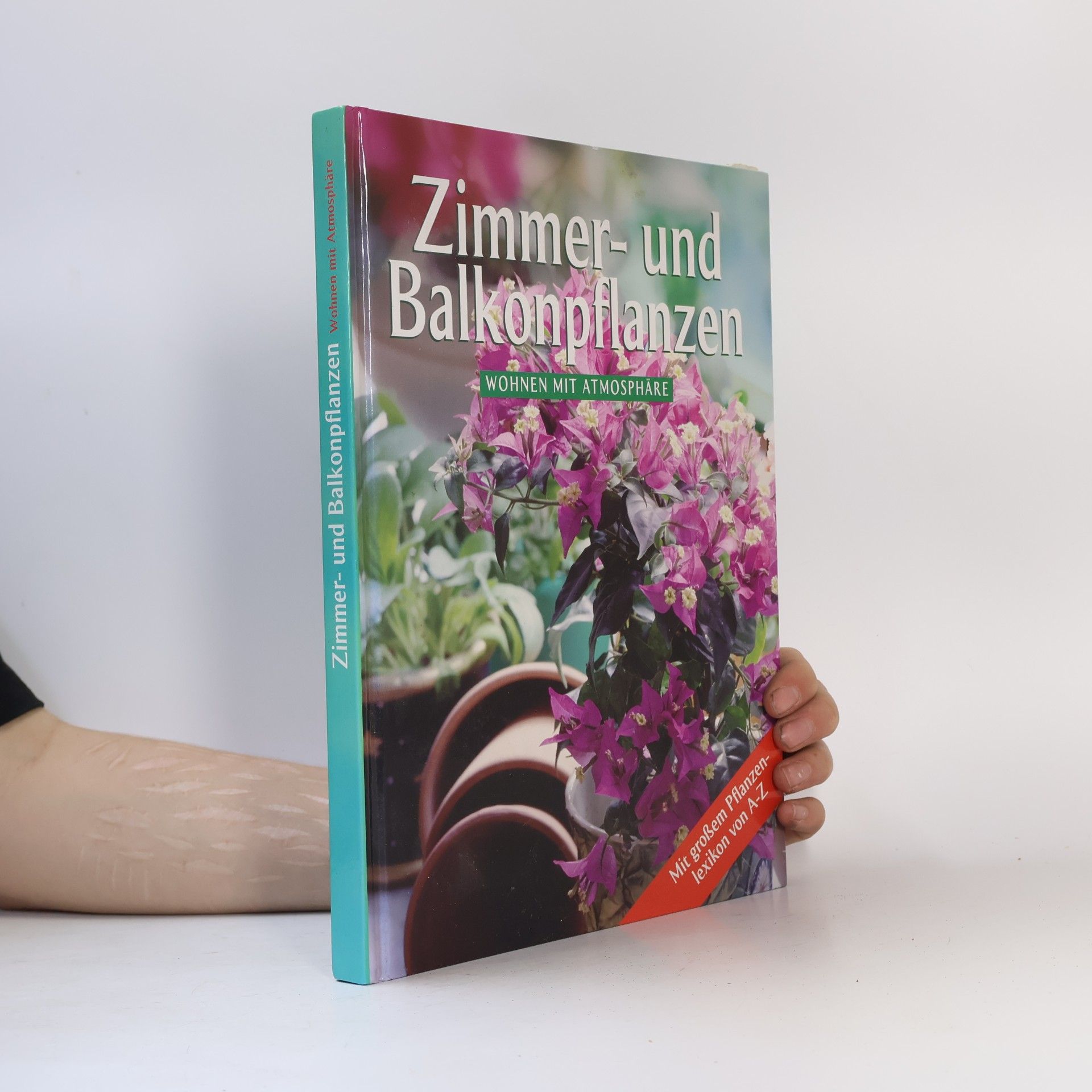 Autorenkollektiv Zimmer - und Balkonpflanzen