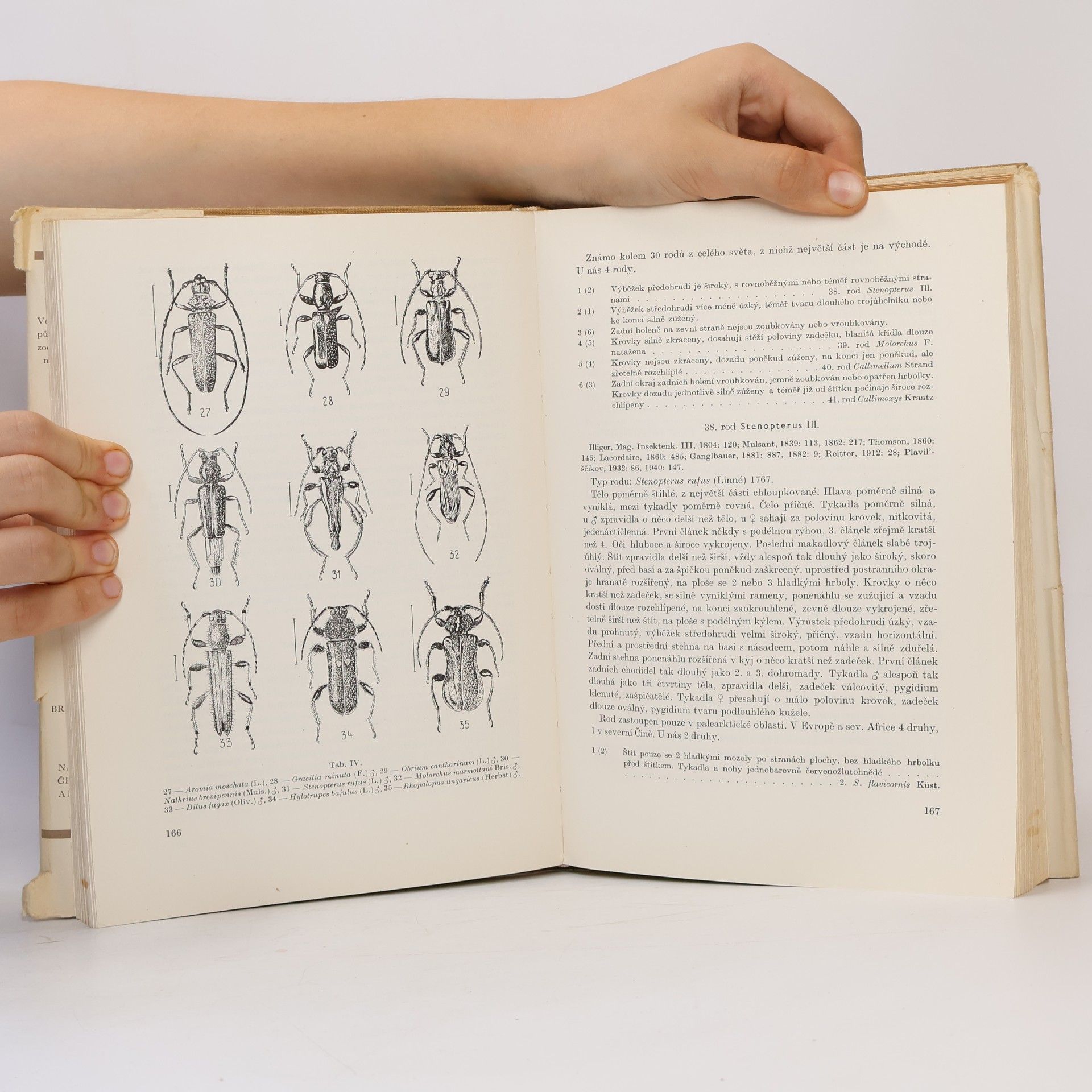 Autorenkollektiv Fauna ČSR. Svazek 5