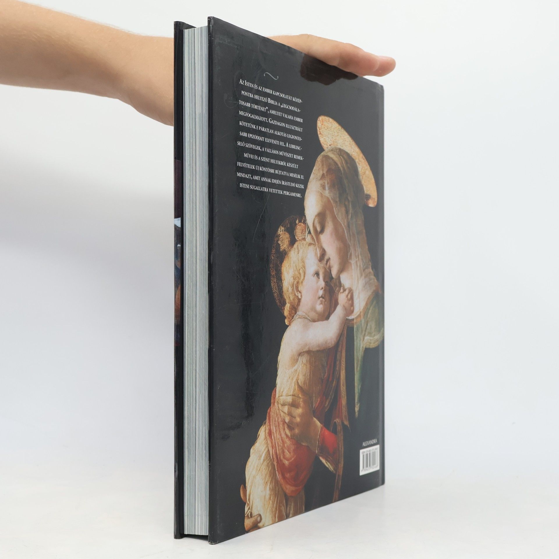 Autores varios A biblia képekben