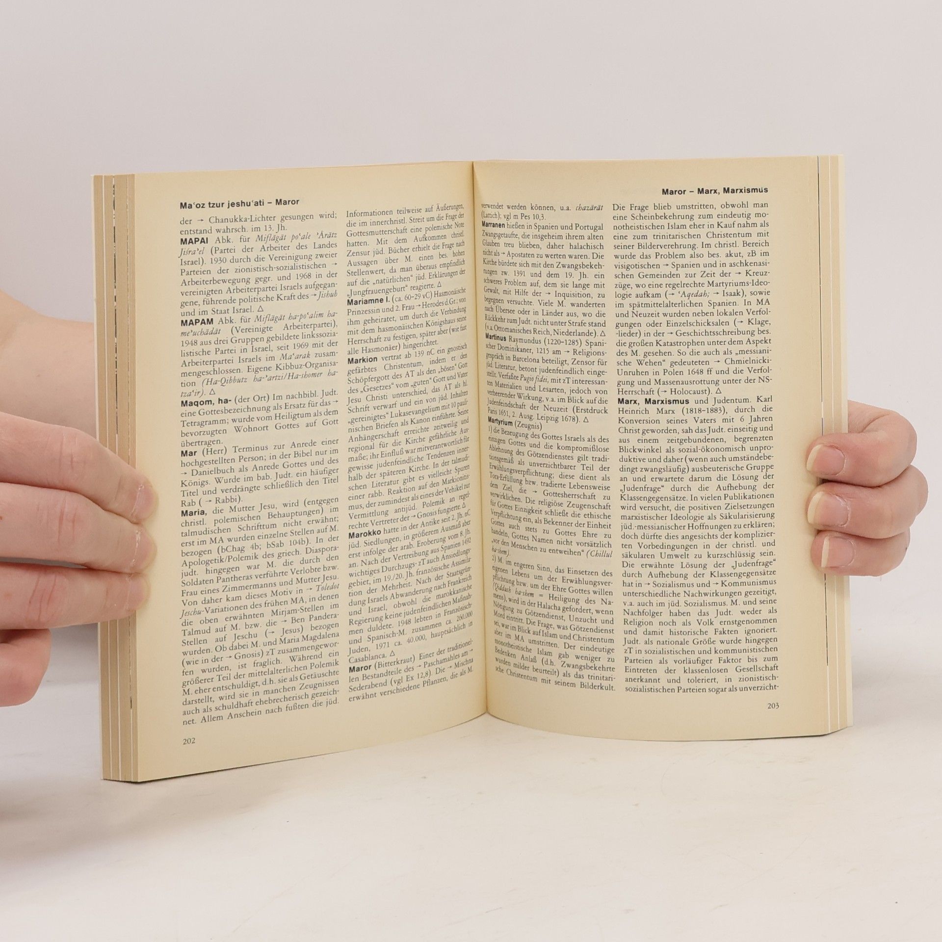 Johann Maier Kleines Lexikon des Judentums