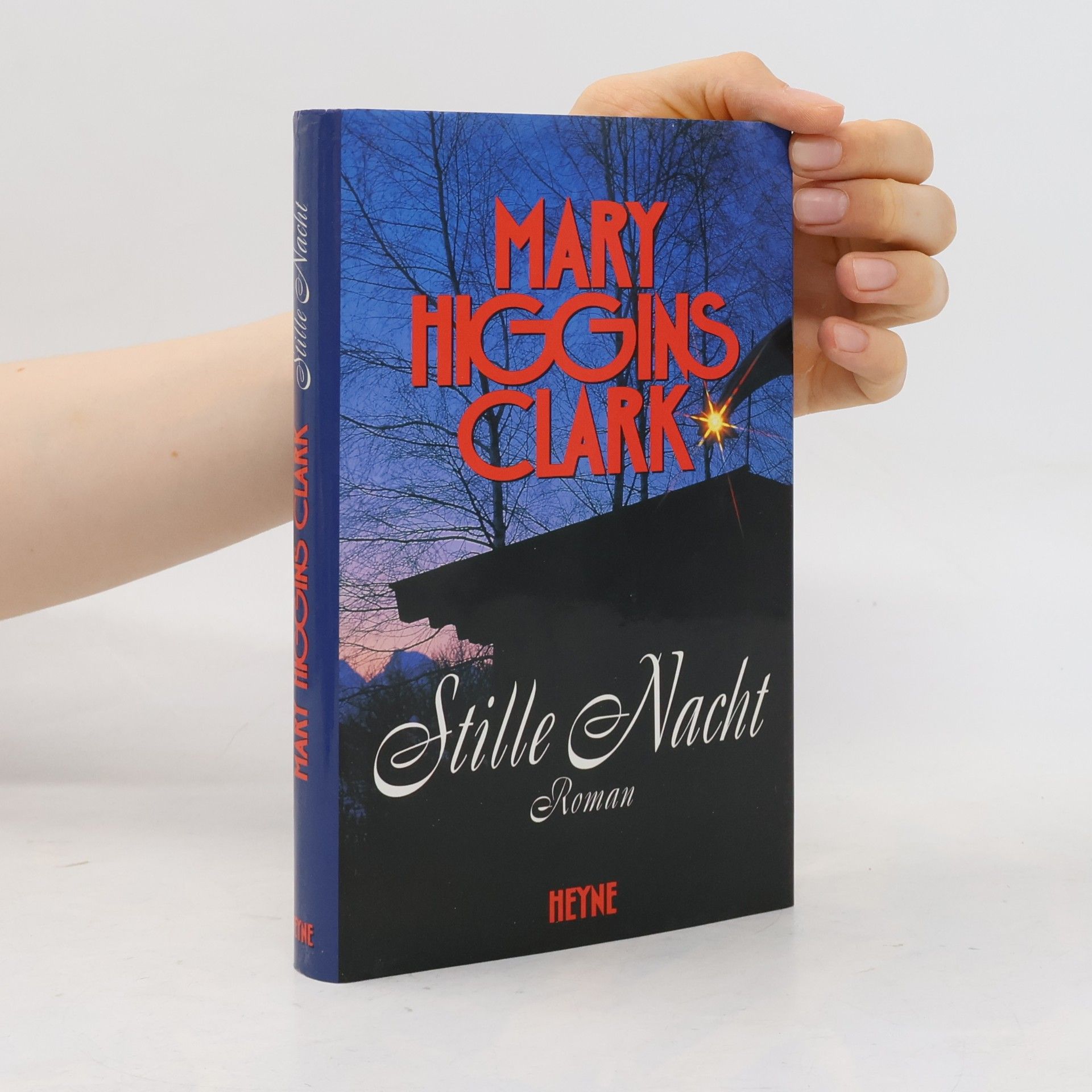Mary Higgins Clark Stille Nacht