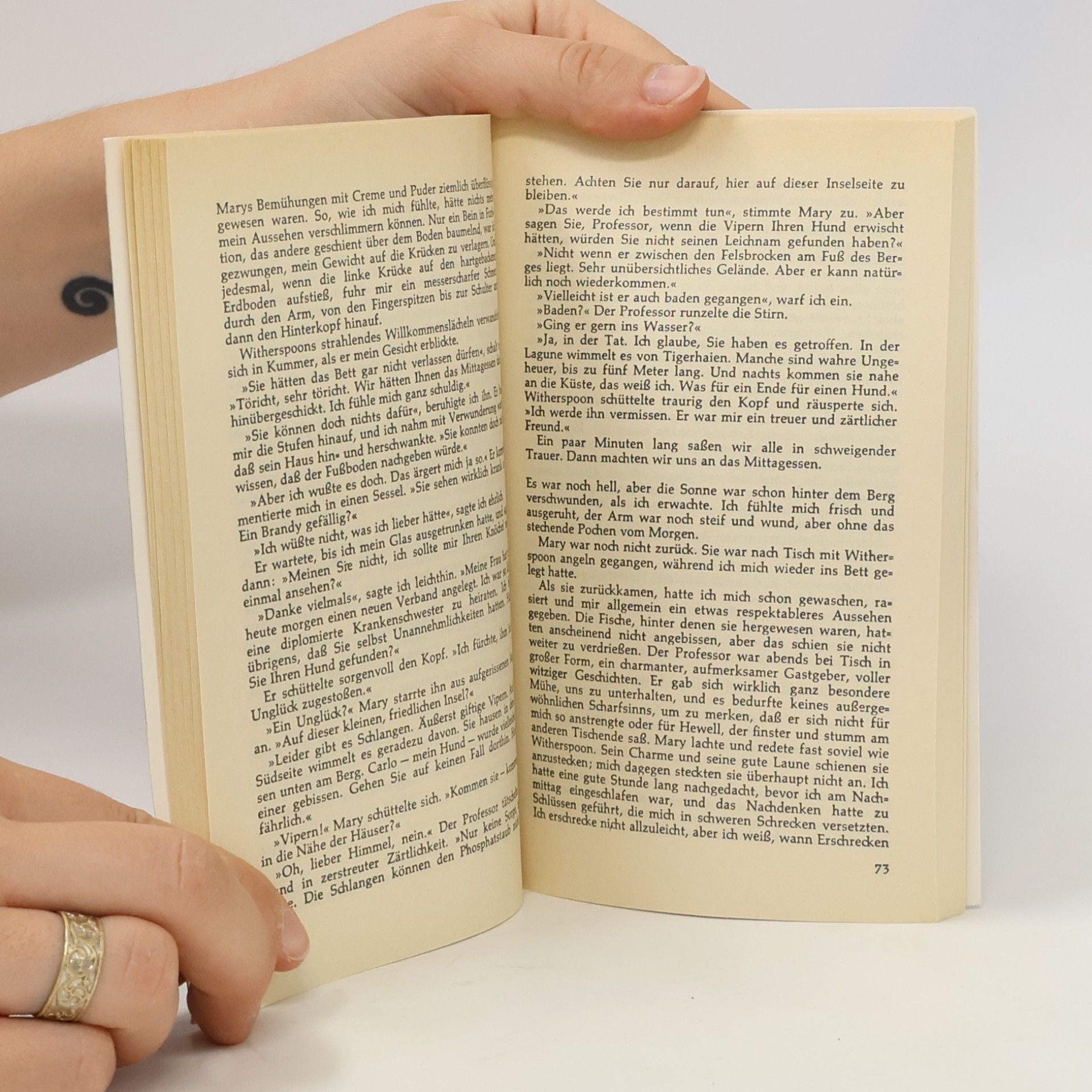 Alistair MacLean Die schwarze Hornisse