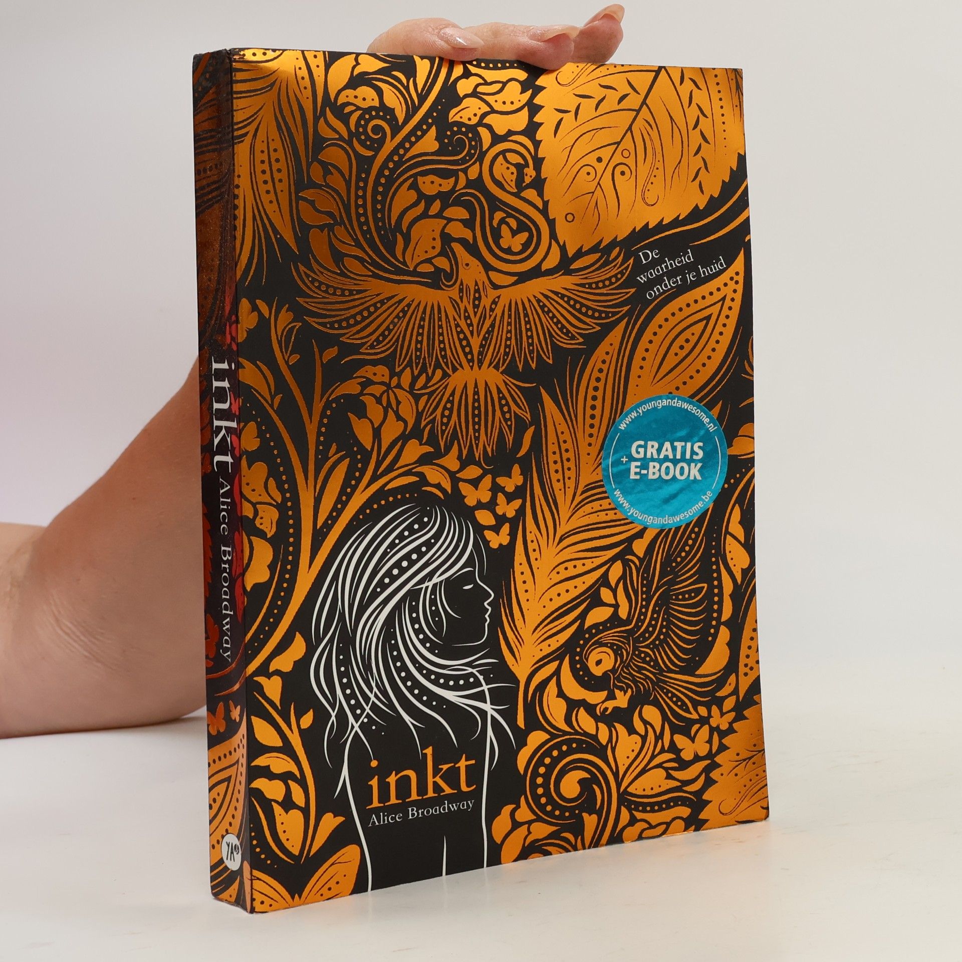 Alice Broadway Inkt-trilogie - 1: Inkt