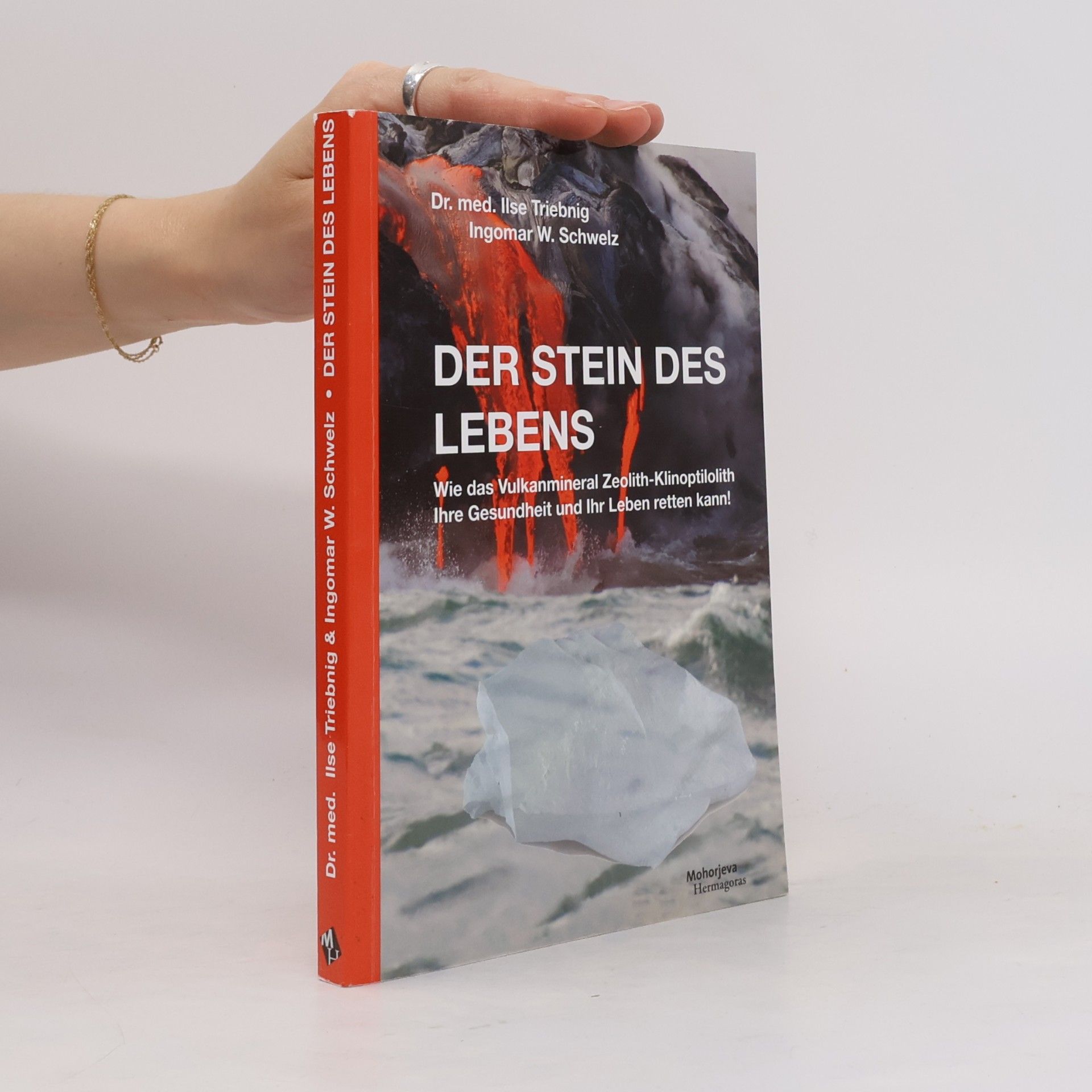 Ilse Triebnig Der Stein des Lebens