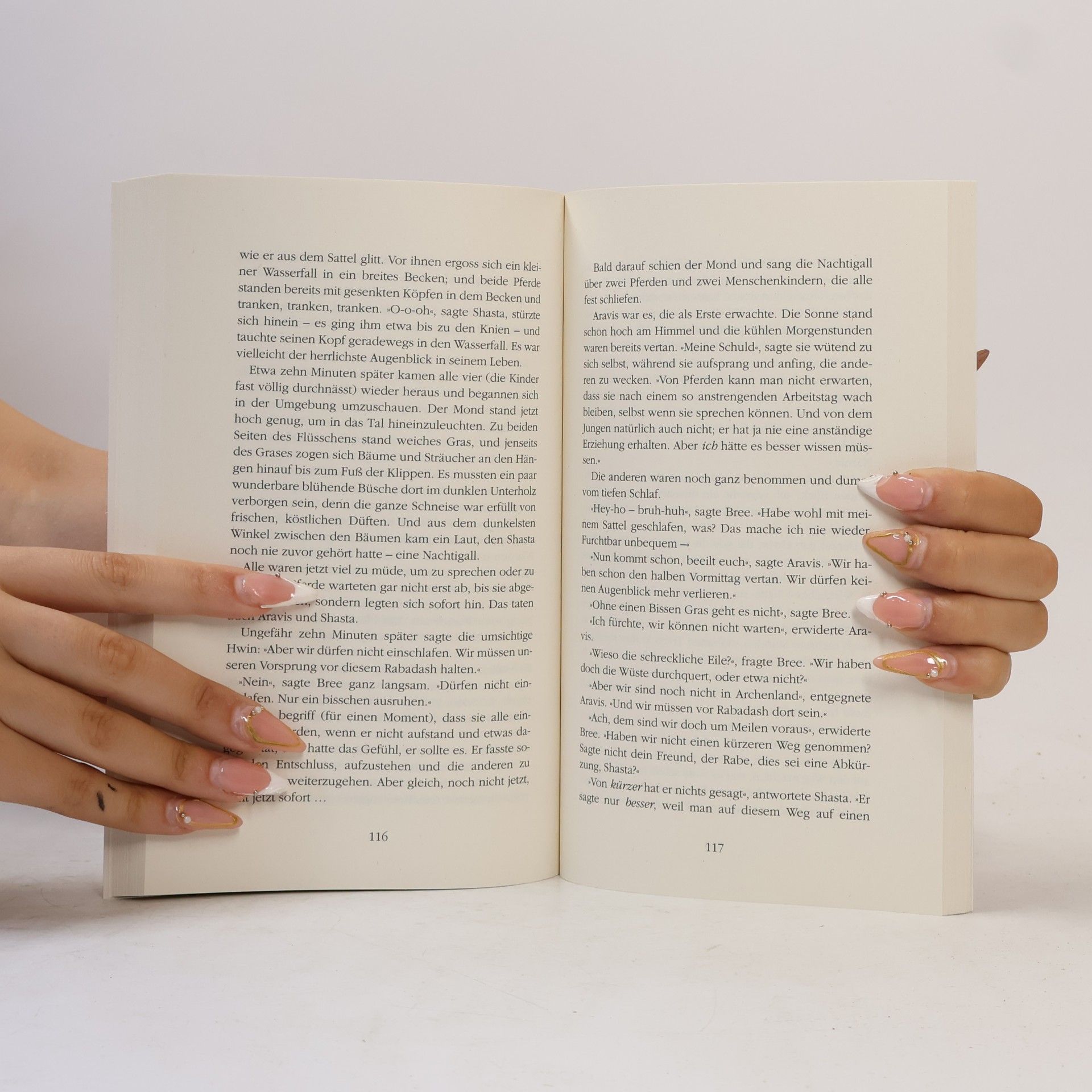 Clive Staples Lewis Der Ritt nach Narnia