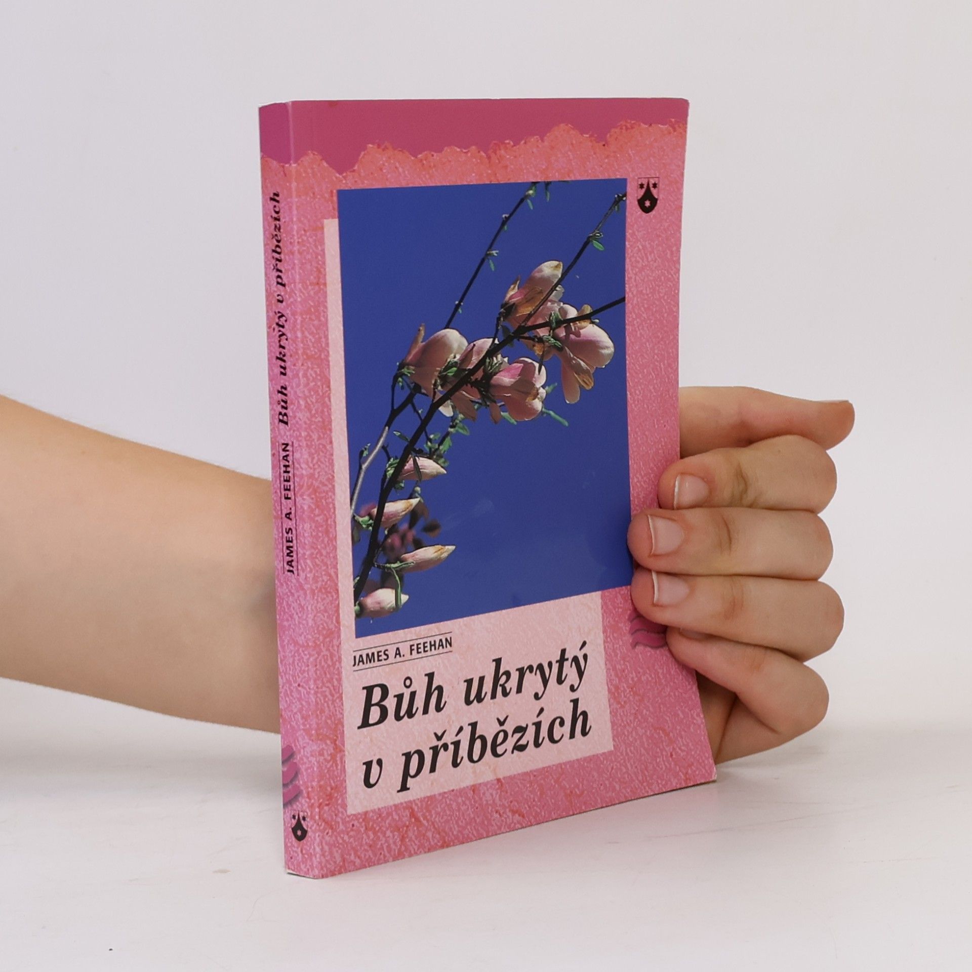 James A. Feehan Bůh ukrytý v příbězích