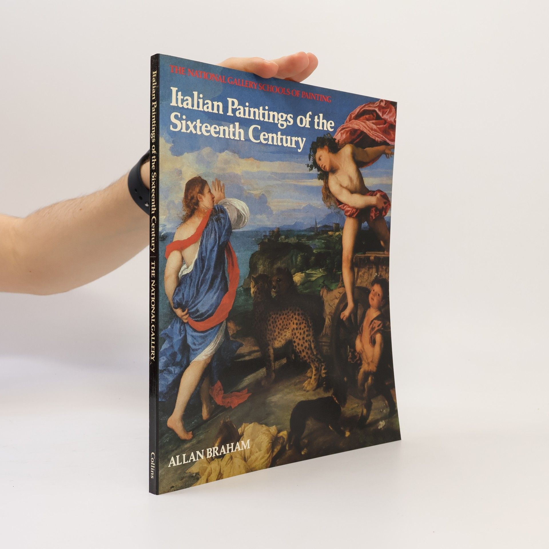 Allan Braham The National Gallery Schools of Painting: Italian Paintings of the Sixteenth Century