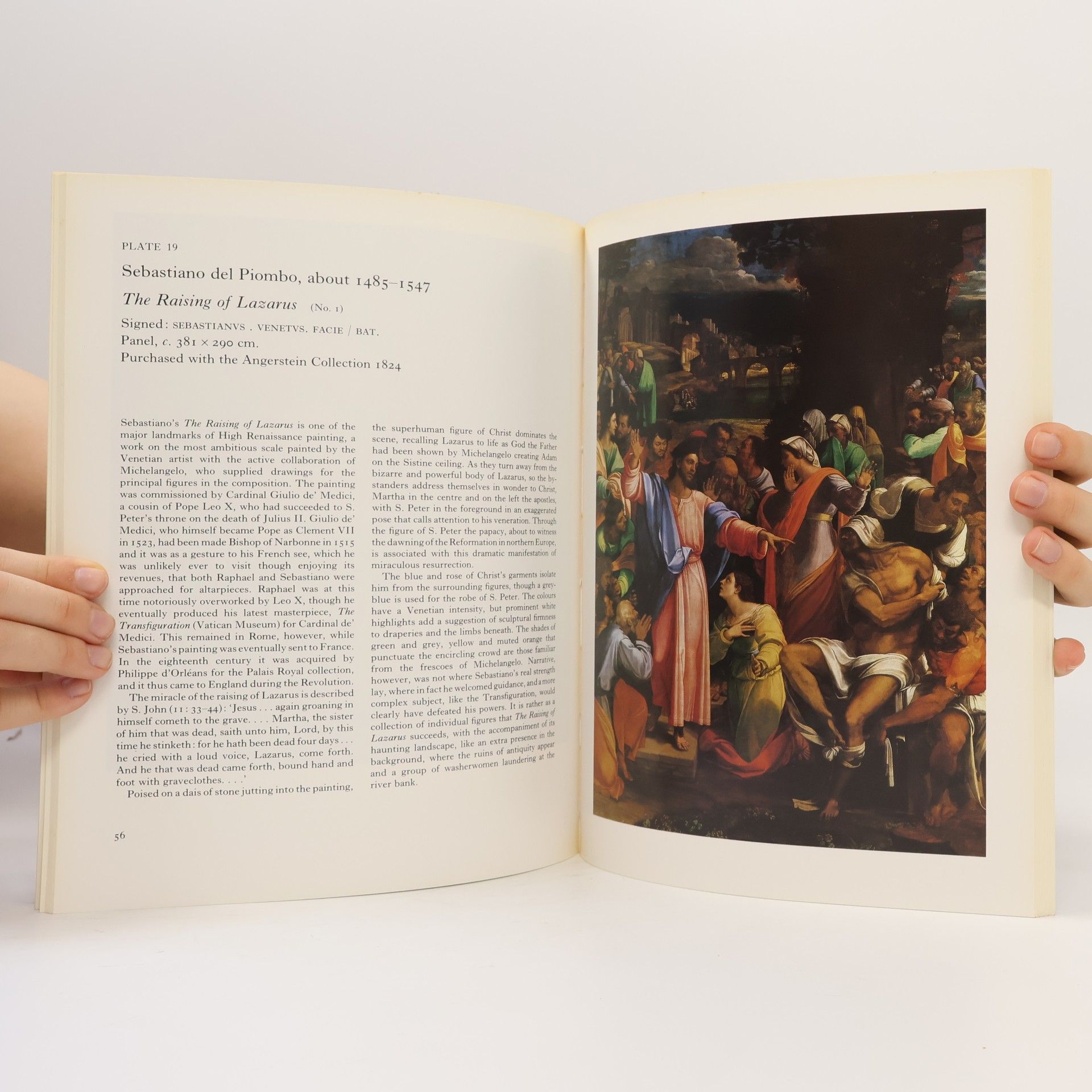 Allan Braham The National Gallery Schools of Painting: Italian Paintings of the Sixteenth Century