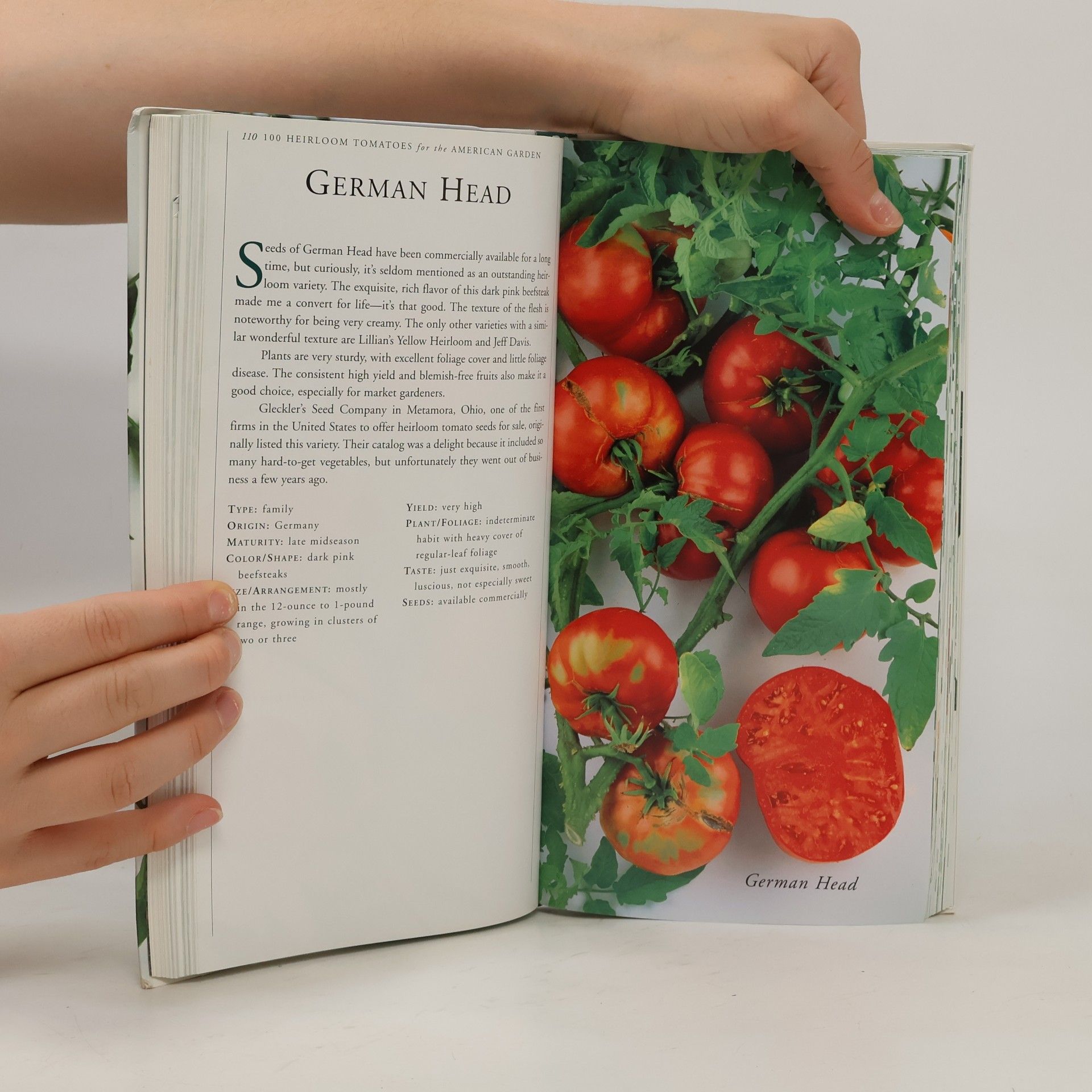 Various authors 100 Heirloom Tomatoes for the American Garden
