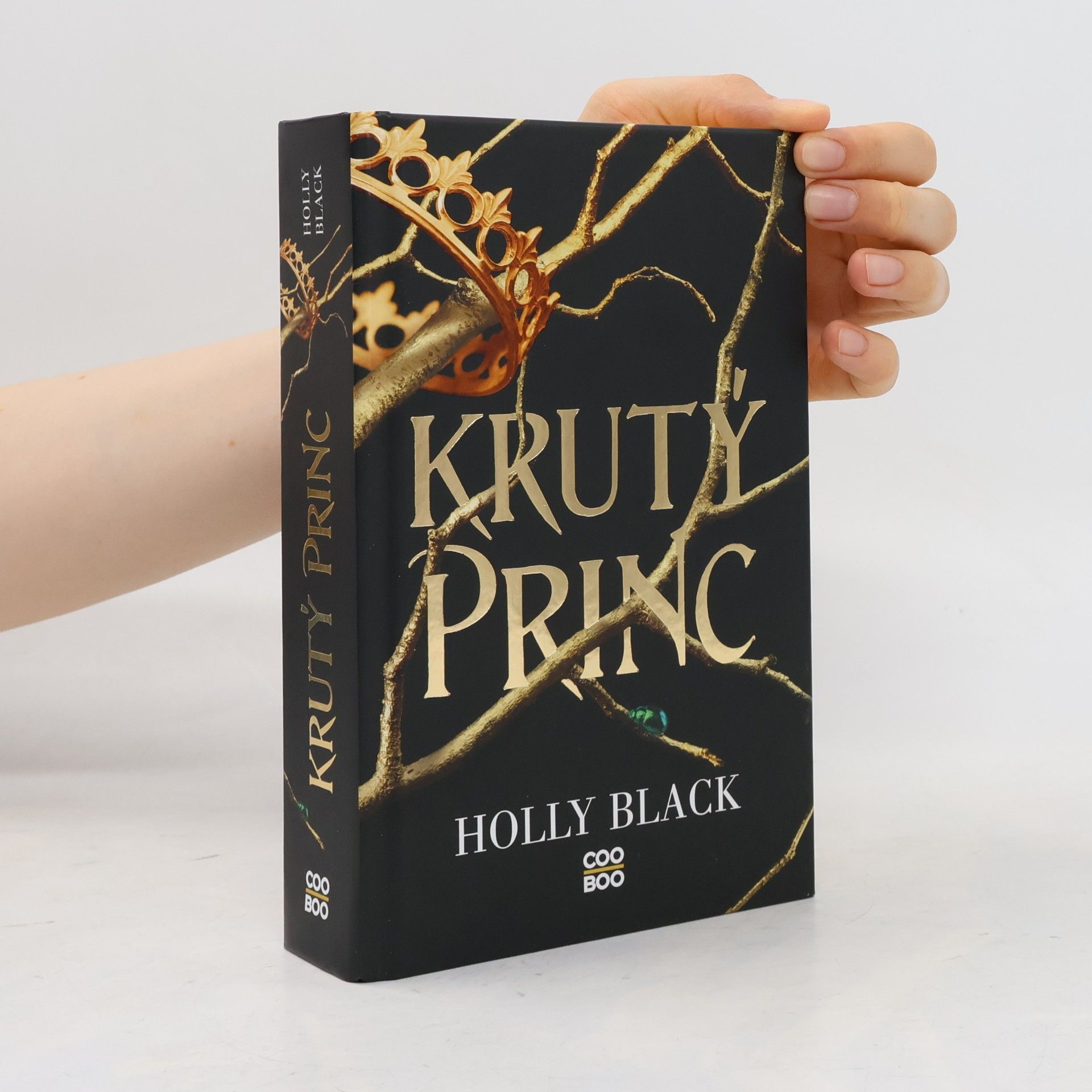 Holly Black Krutý princ