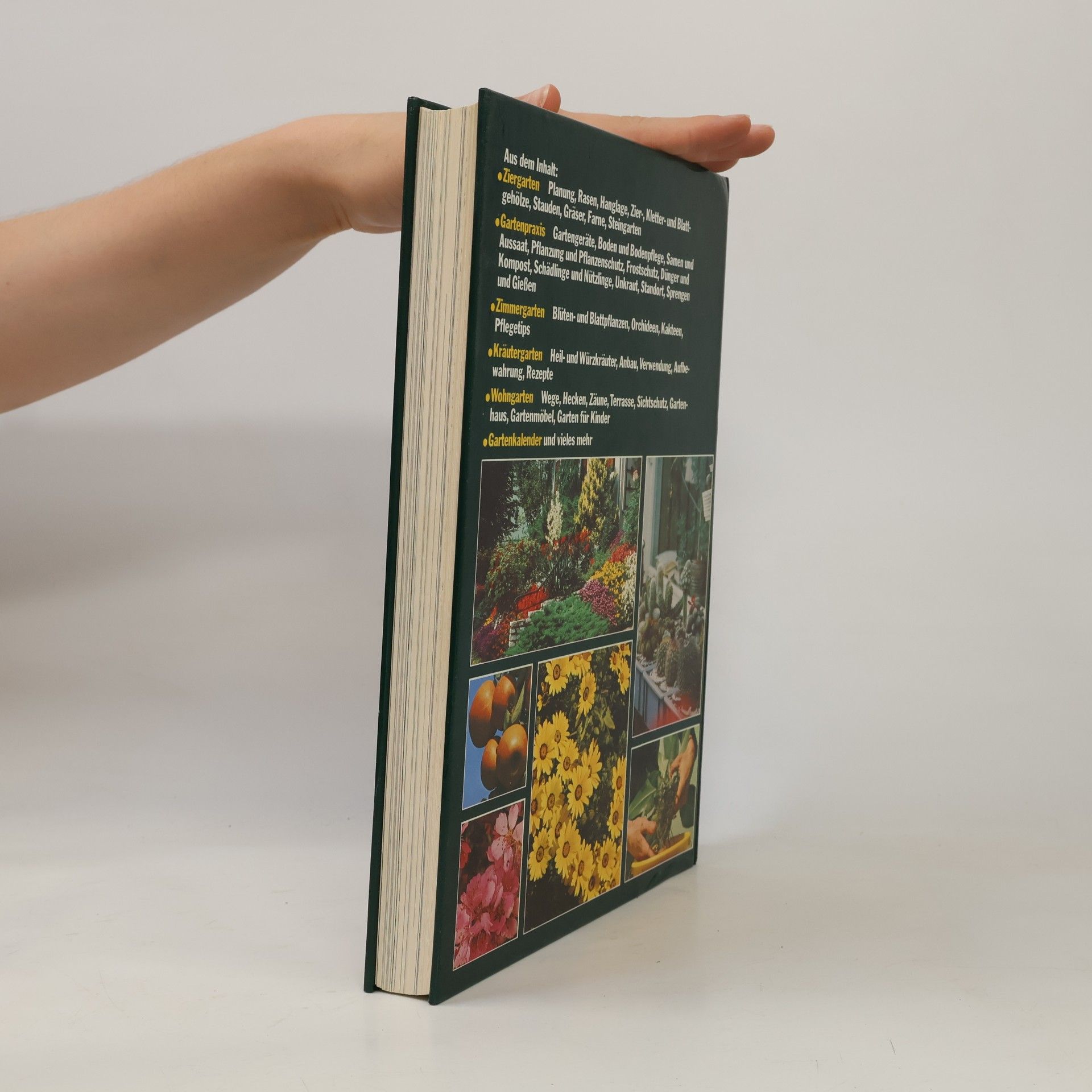 Autorenkollektiv Das große Blumen- und Pflanzenbuch für Haus und Garten