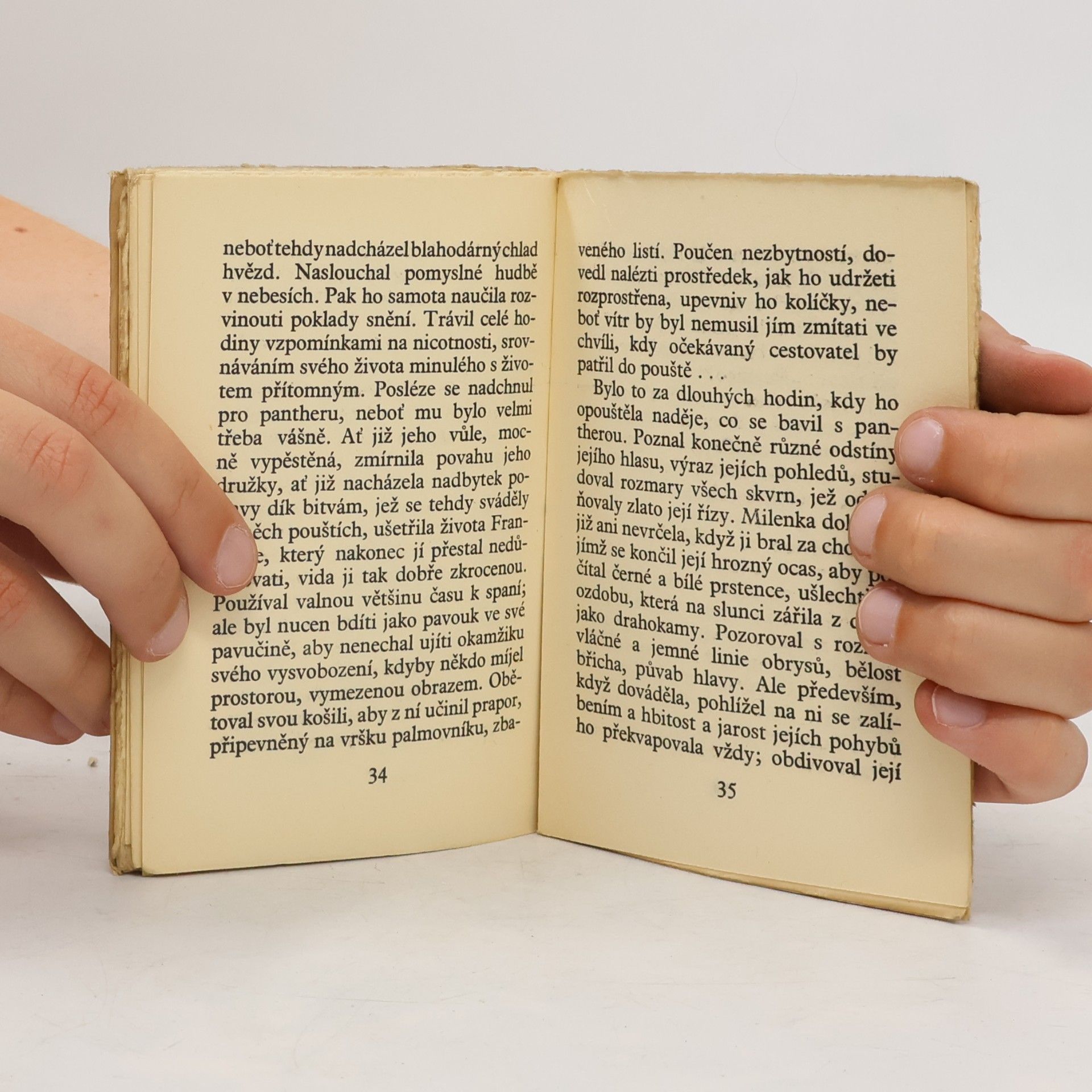 Honoré de Balzac Vášeň na poušti (číslovaný výtisk)