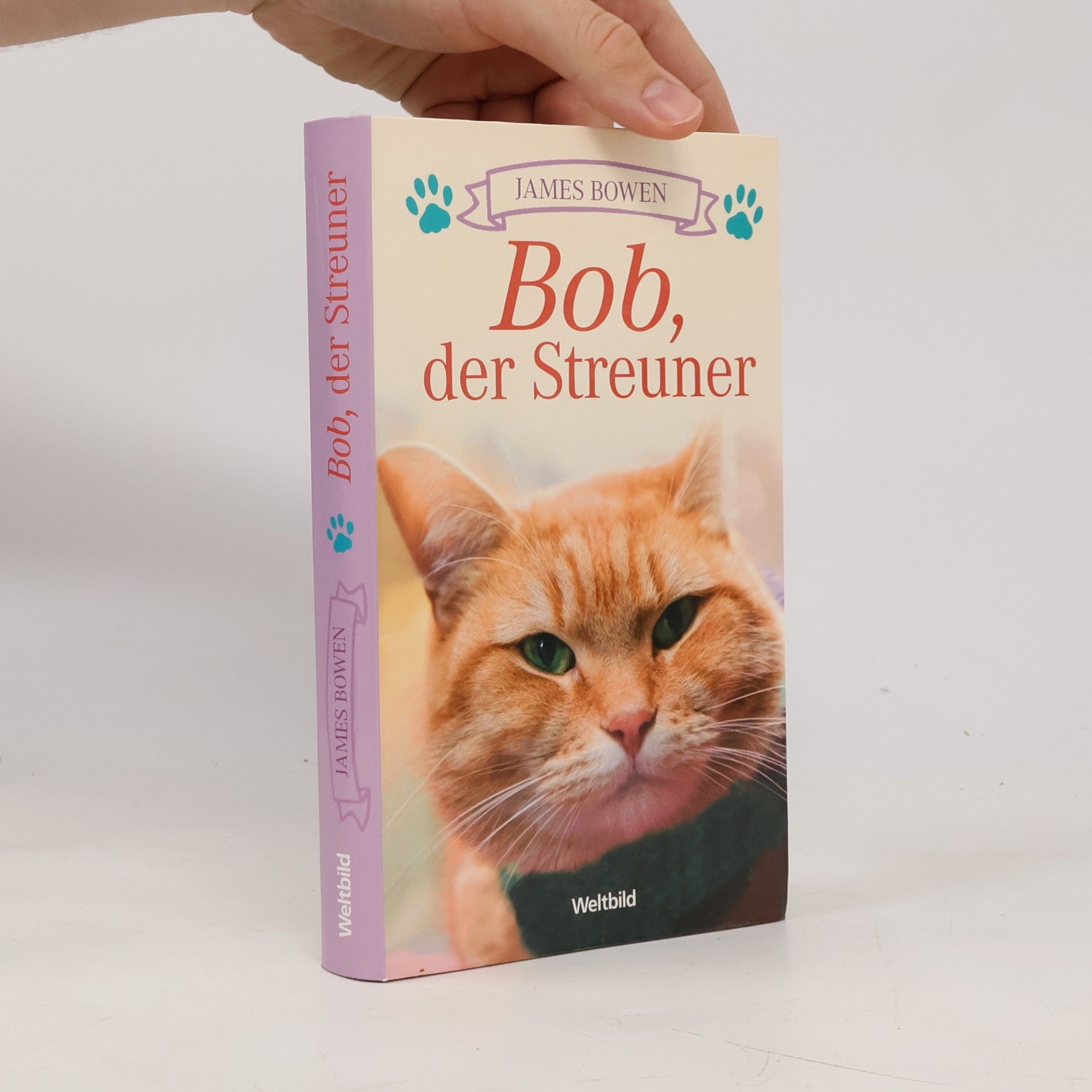 James Bowen Bob, der Streuner