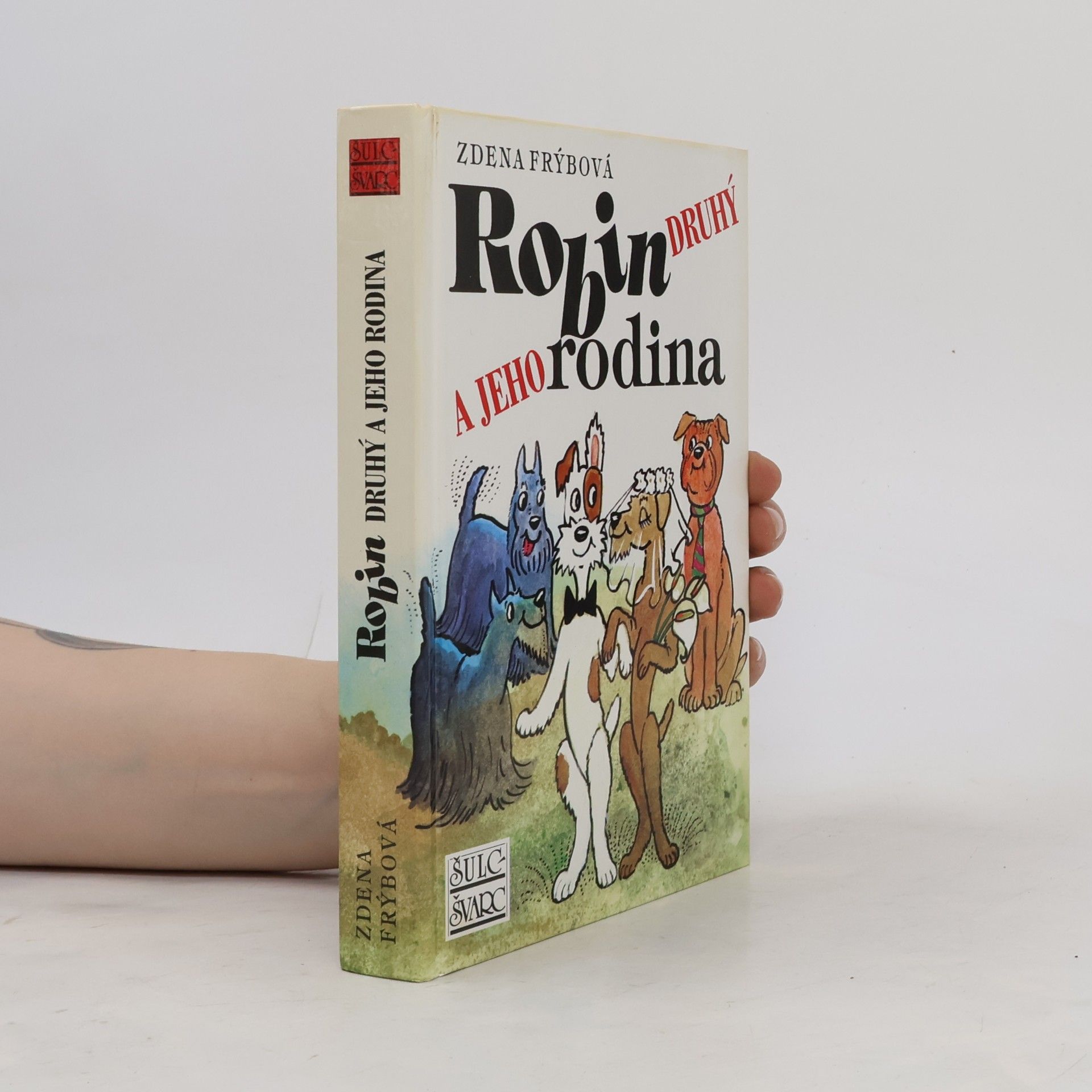 Zdena Frýbová Robin Druhý a jeho rodina