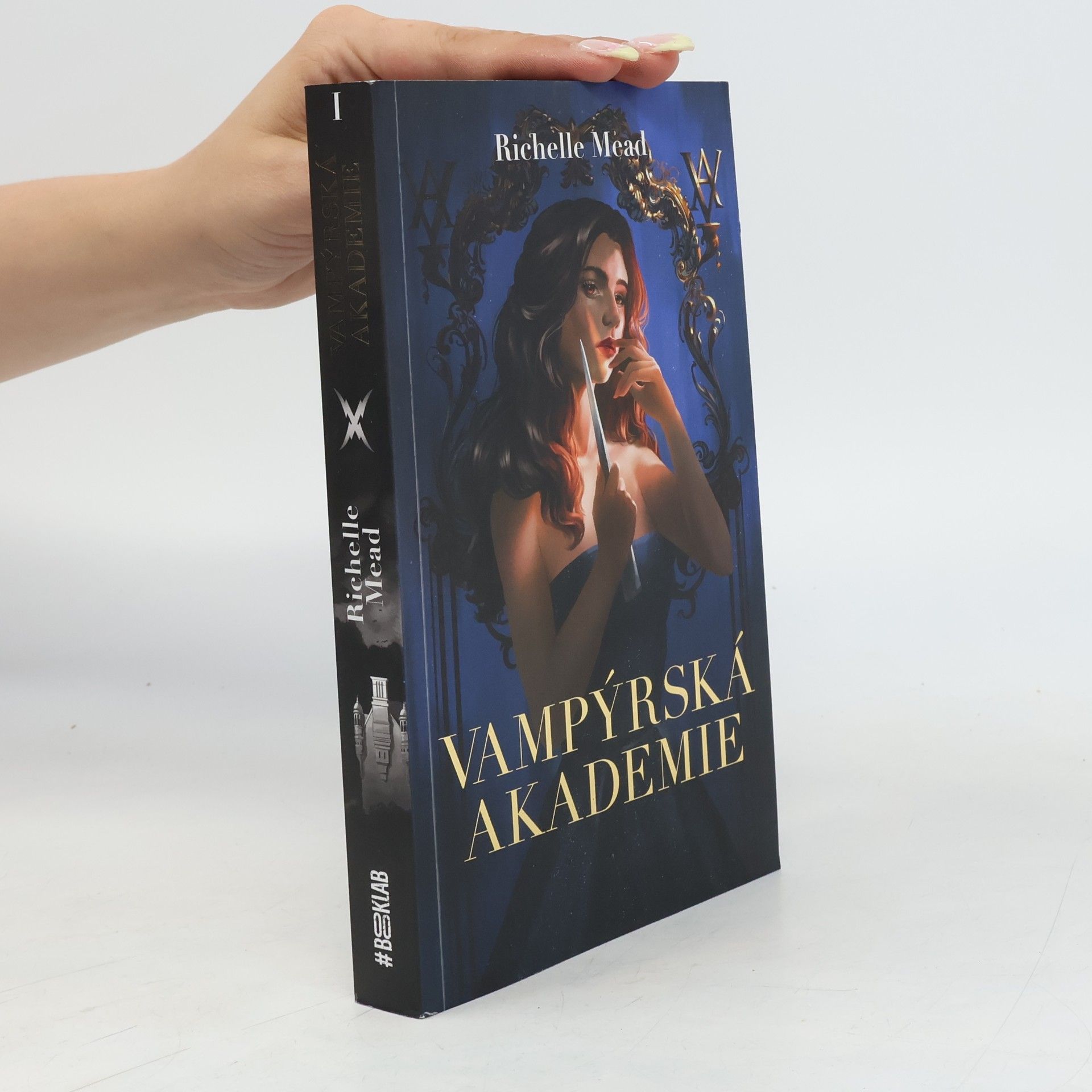 Richelle Mead Vampýrská akademie