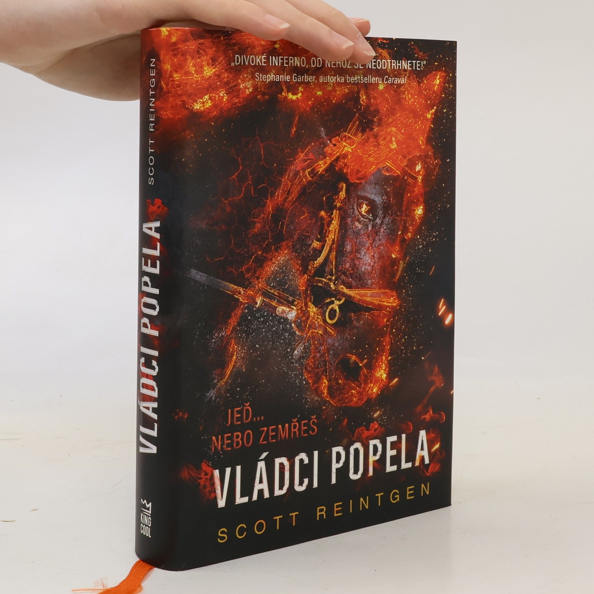 Scott Reintgen Vládci popela