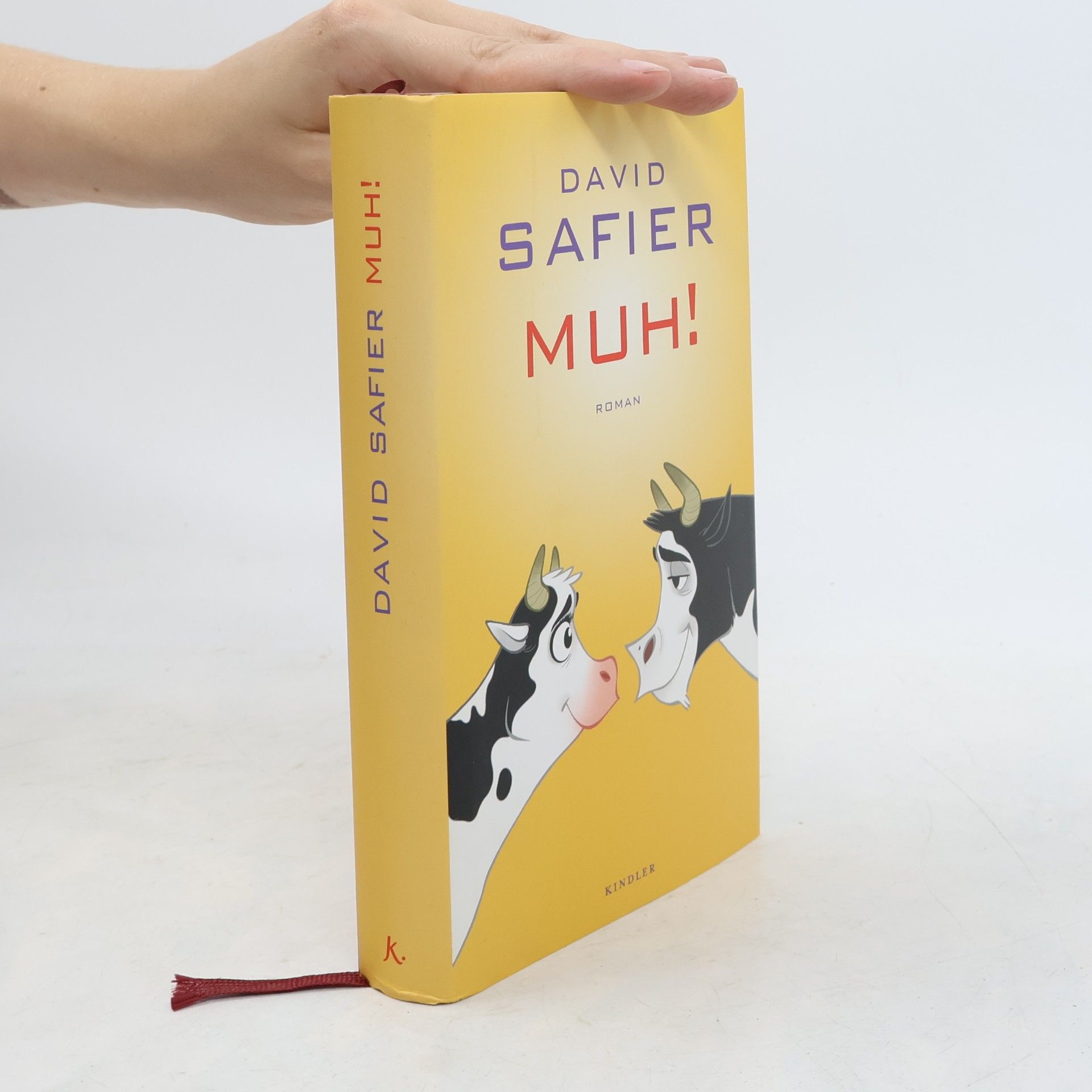 David Safier Muh!