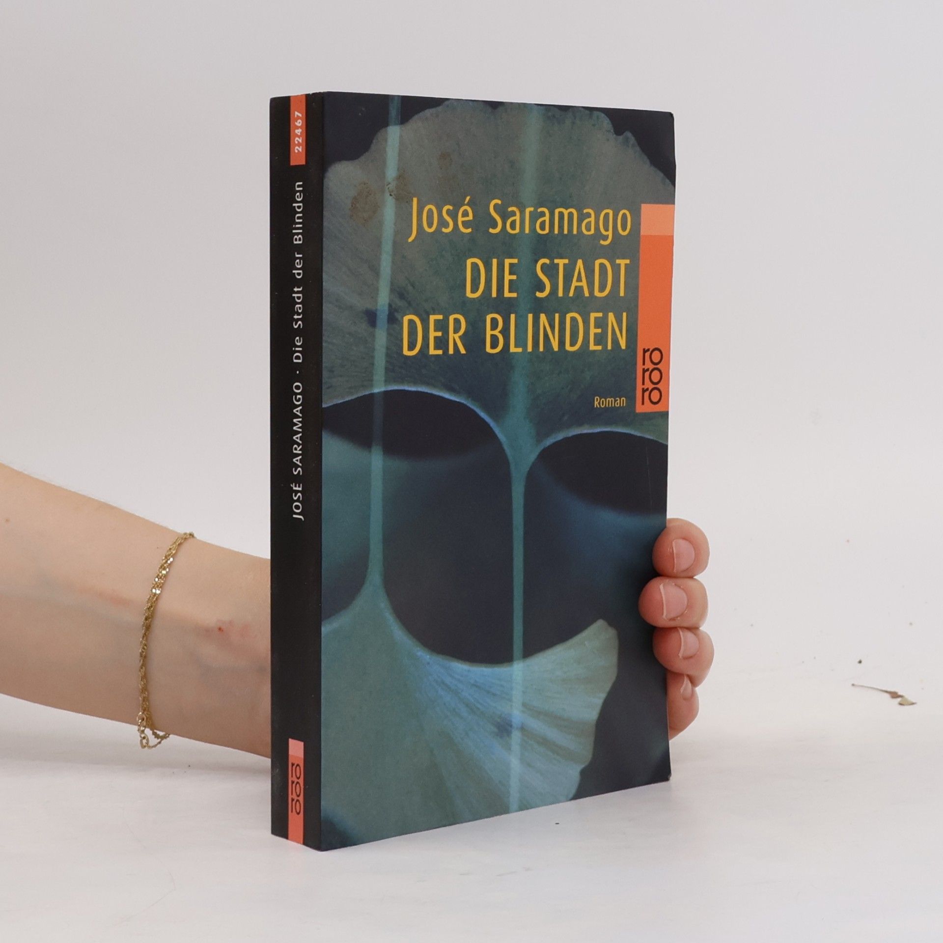 José Saramago Die Stadt der Blinden