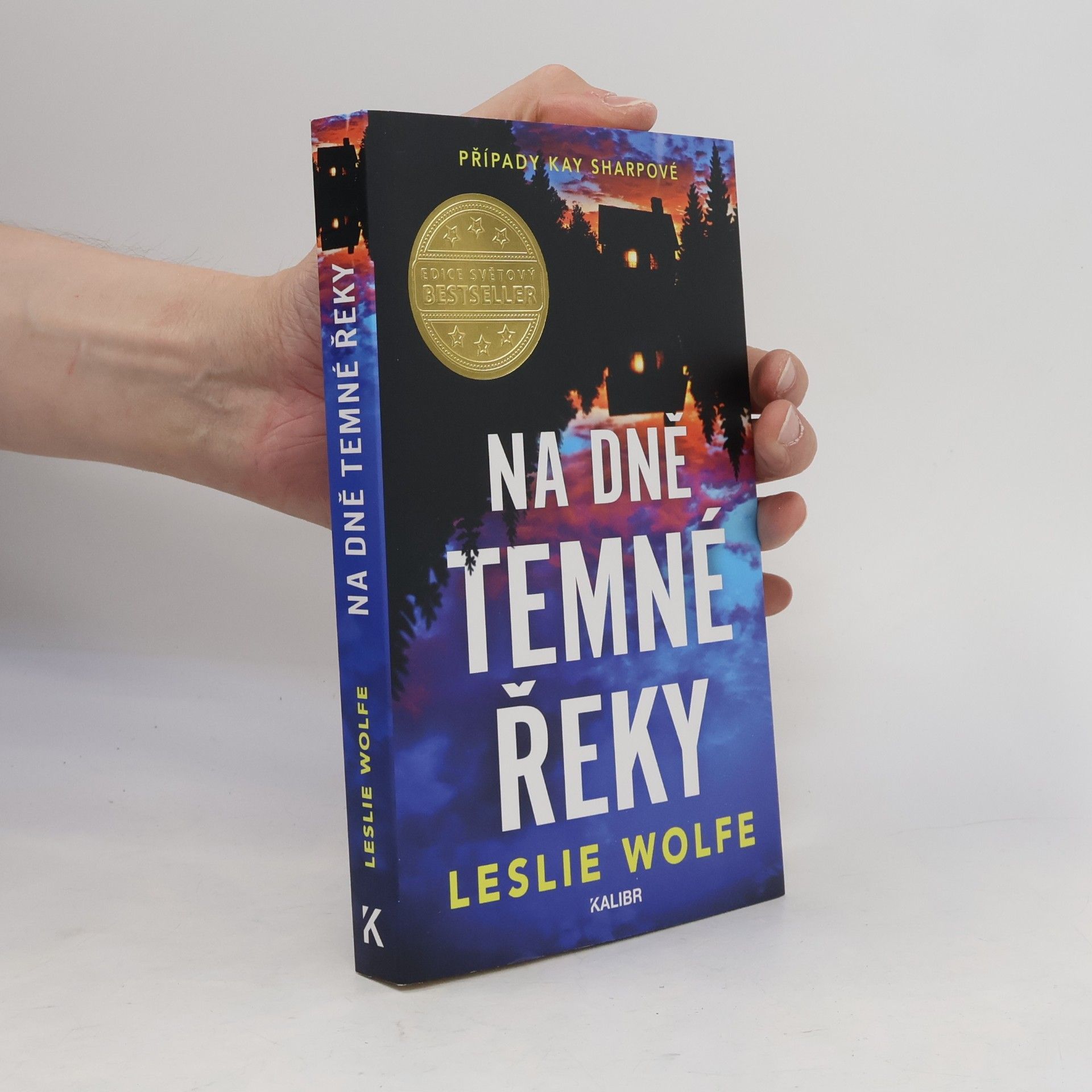 Leslie Wolfe Na dně Temné řeky