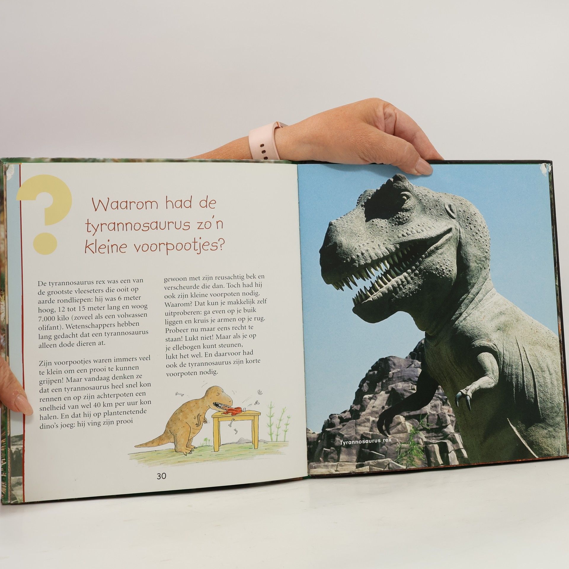 Wat kinderen willen weten - 2: Hadden dino's slechte tanden ?: antwoorden op vragen over dinosauriërs